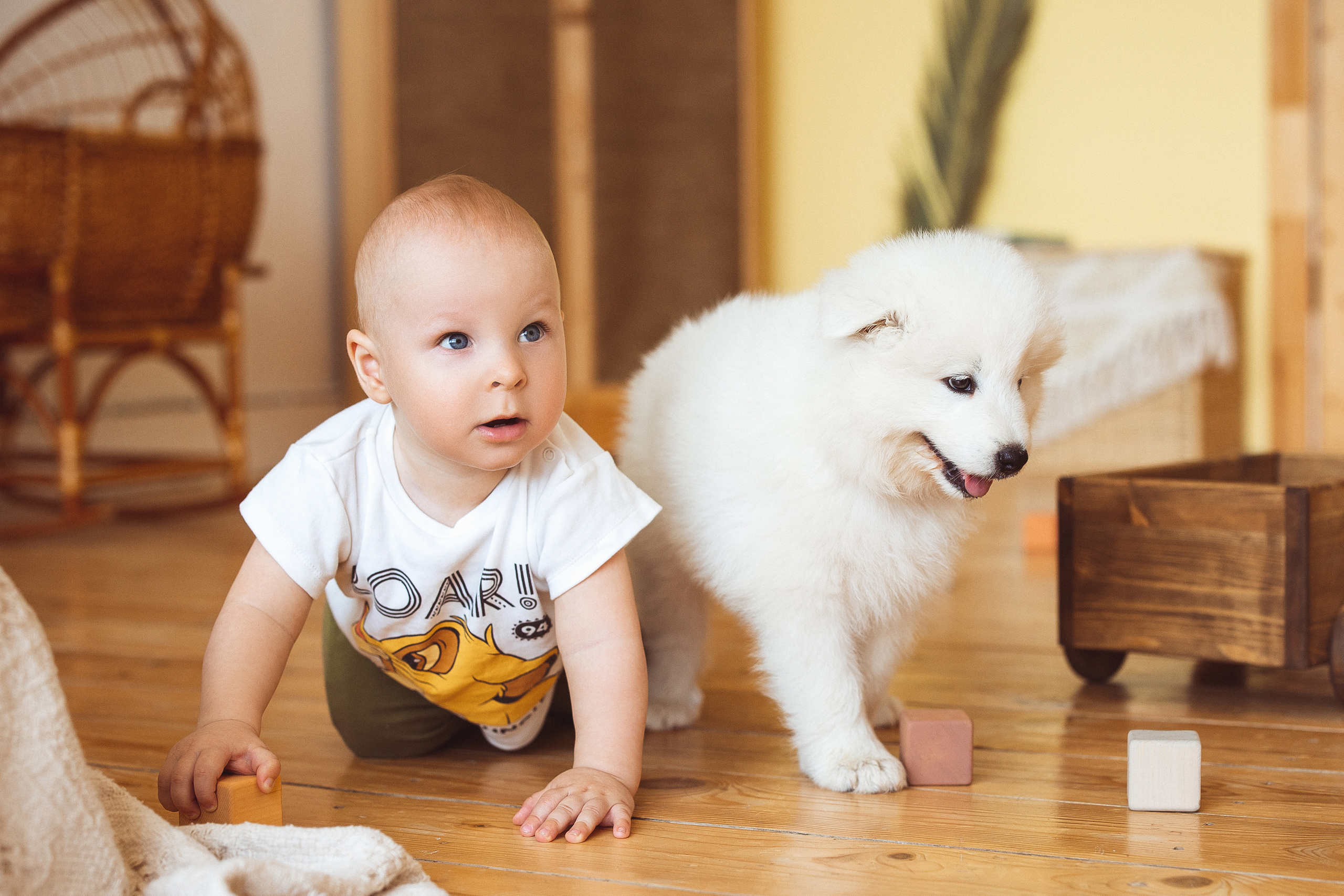 С щенками. Семейный и детский фотограф в Краснодаре Анна Трашкова
