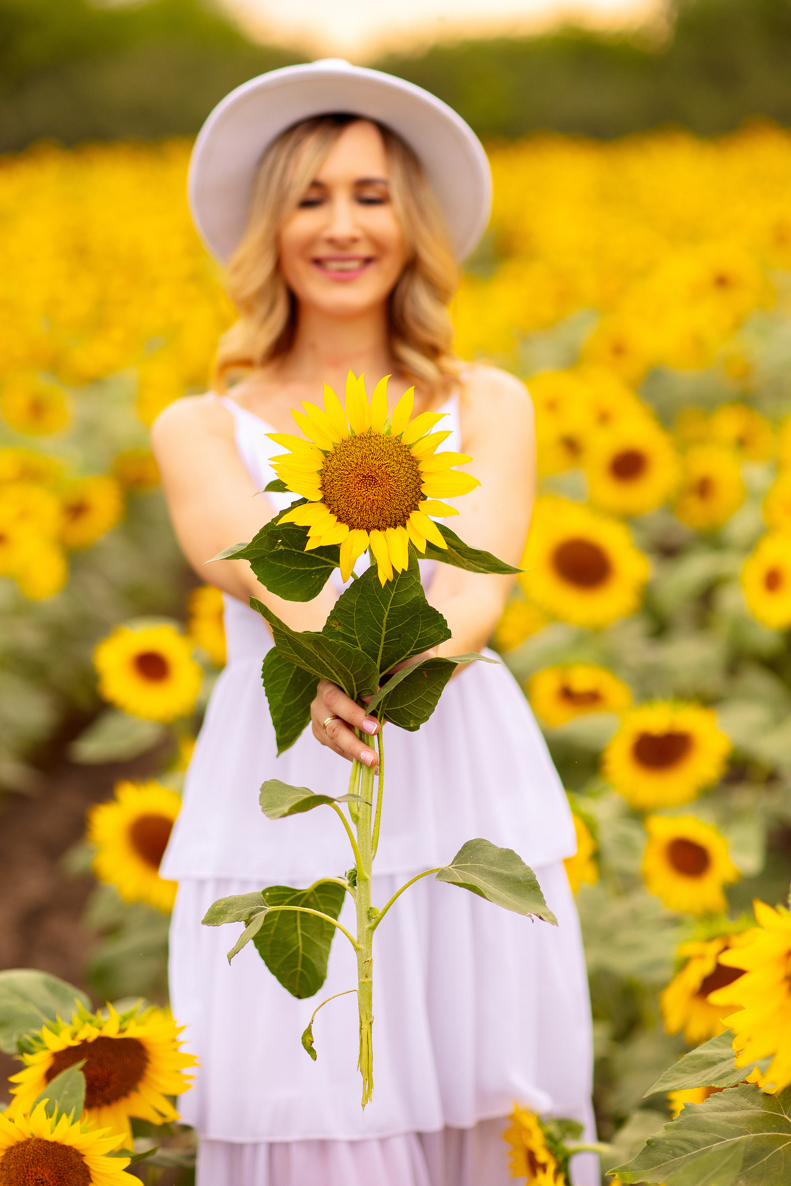 Фотосессия в подсолнухах в Краснодаре. Семейный и детский фотограф в Краснодаре Анна Трашкова