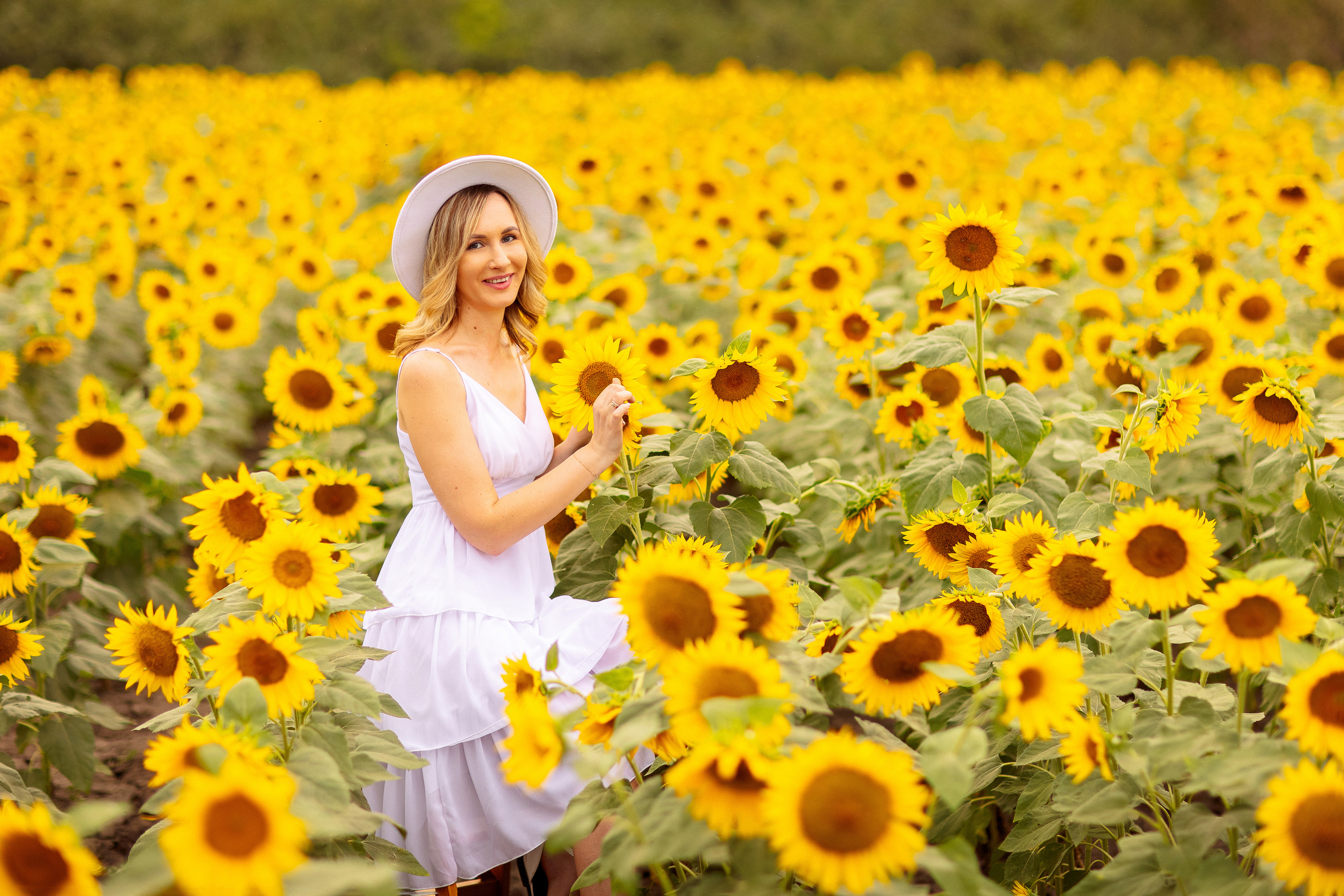 Фотосессия в подсолнухах в Краснодаре. Семейный и детский фотограф в Краснодаре Анна Трашкова