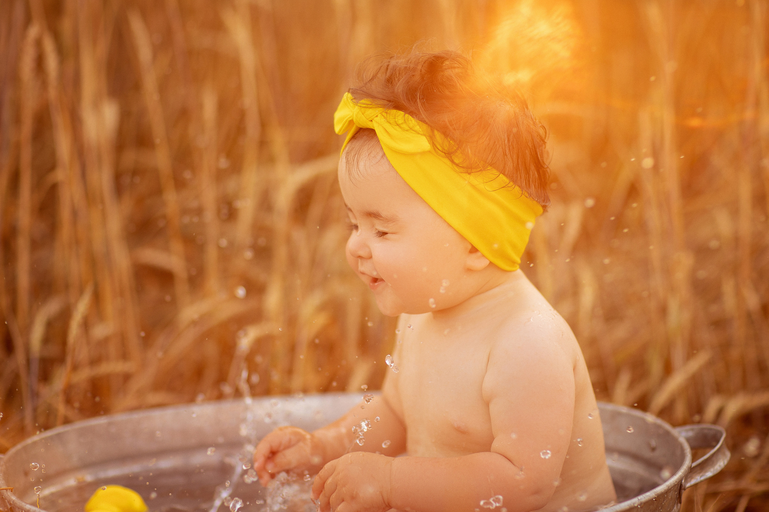 Купание в пшеничном поле. Семейный и детский фотограф в Краснодаре Анна Трашкова