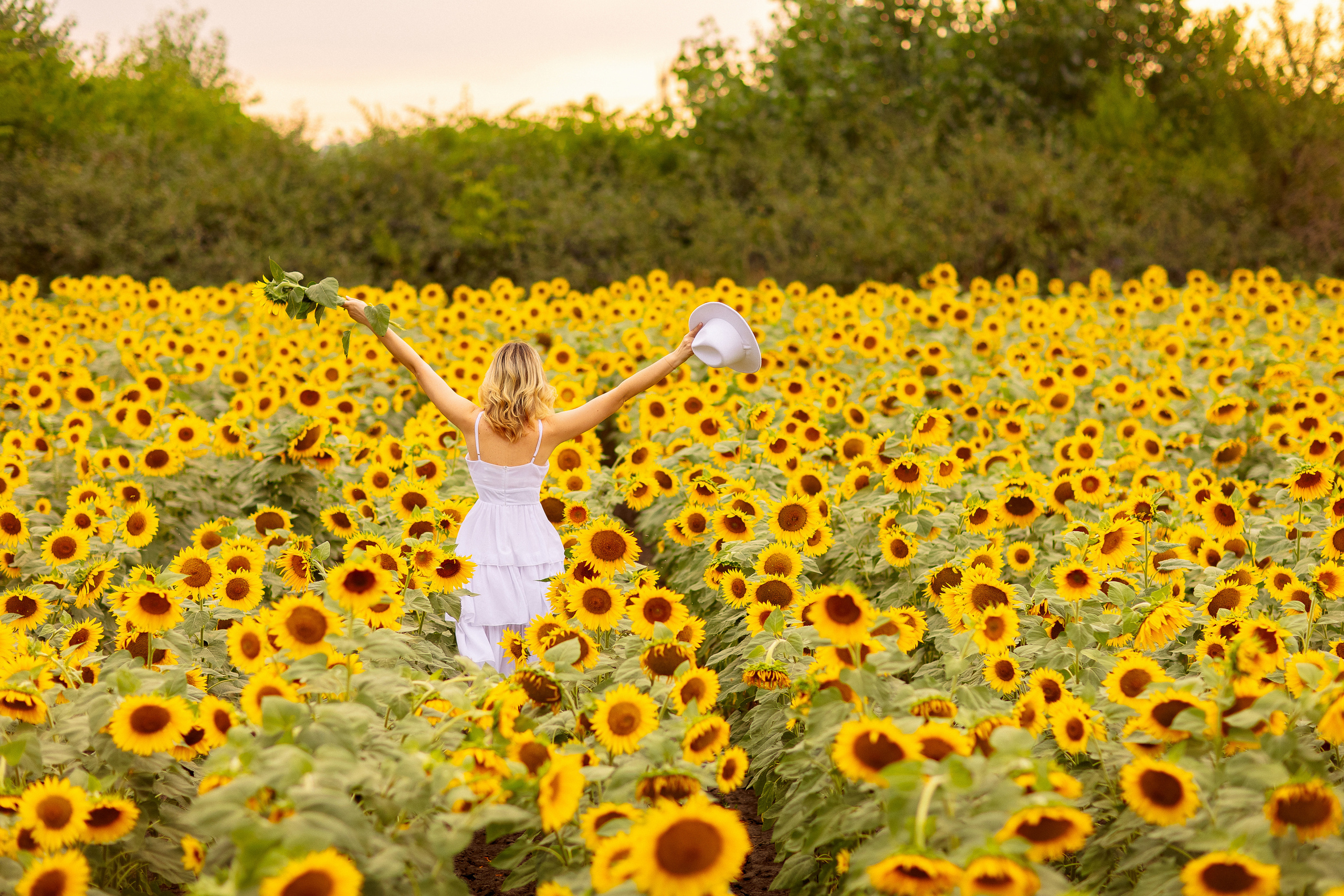 Фотосессия в подсолнухах в Краснодаре. Семейный и детский фотограф в Краснодаре Анна Трашкова