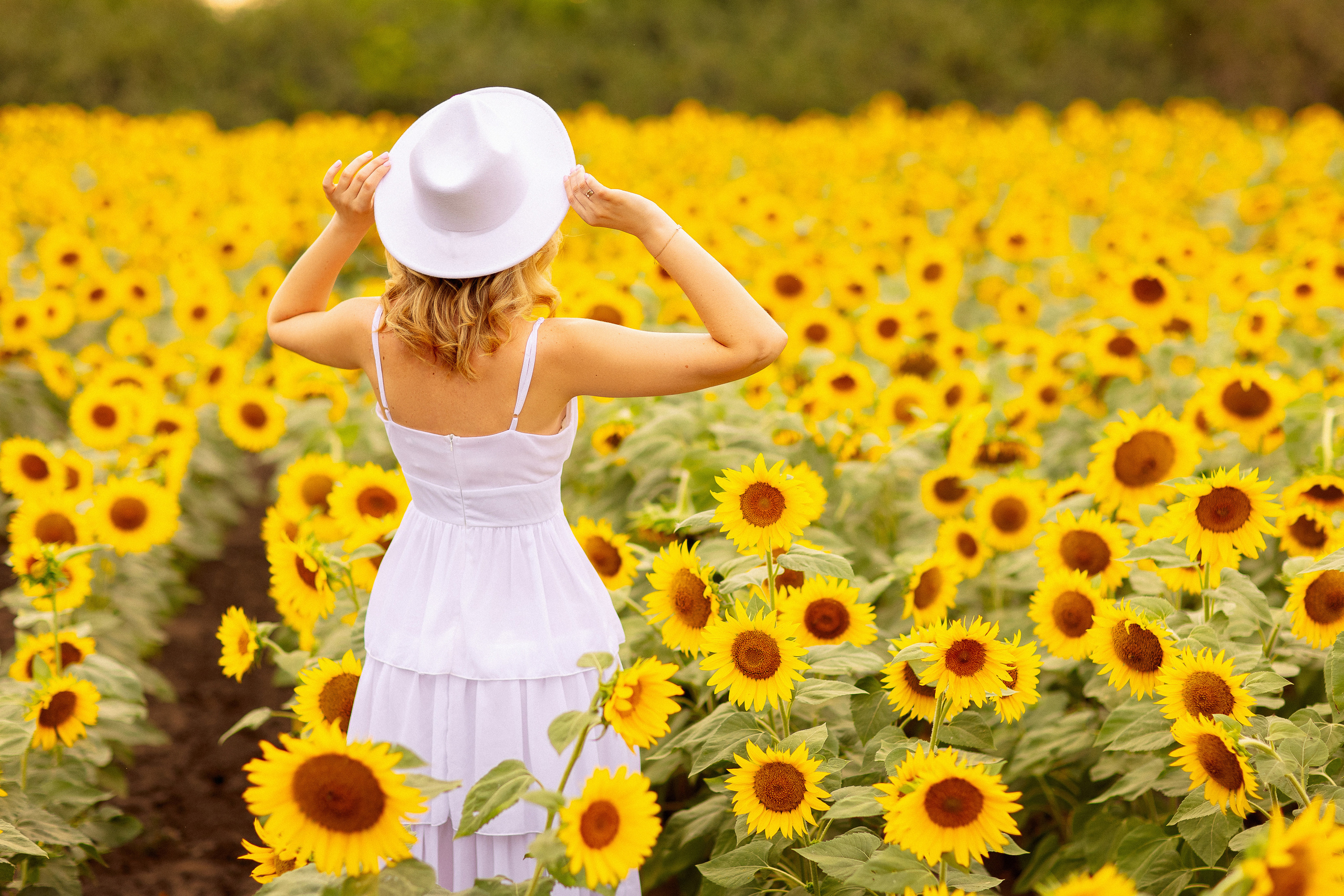 Фотосессия в подсолнухах в Краснодаре. Семейный и детский фотограф в Краснодаре Анна Трашкова