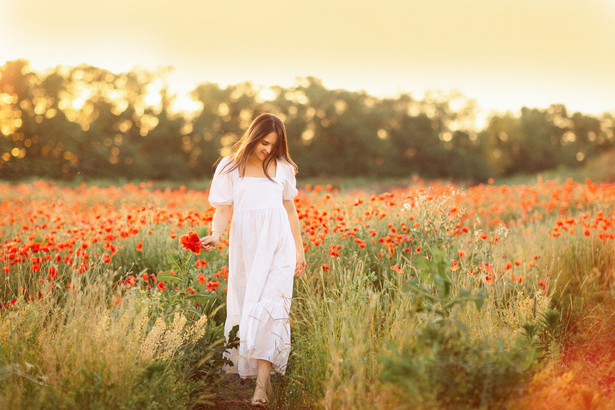 Фотосессия в маковом поле, Краснодар. Семейный и детский фотограф в Краснодаре Анна Трашкова