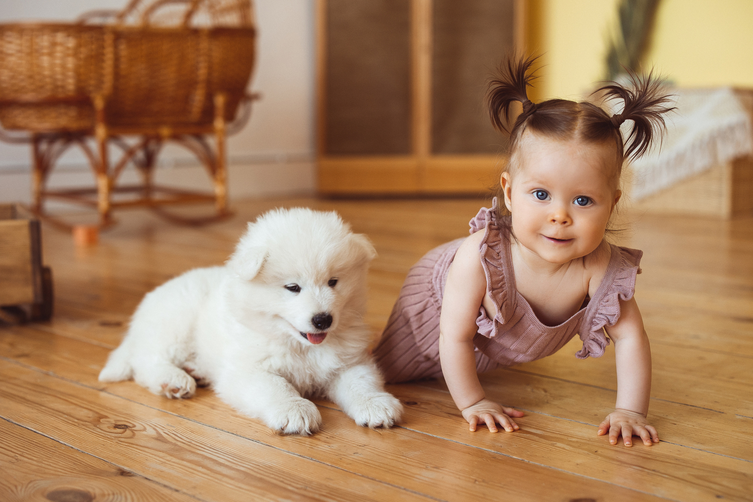 С щенками. Семейный и детский фотограф в Краснодаре Анна Трашкова