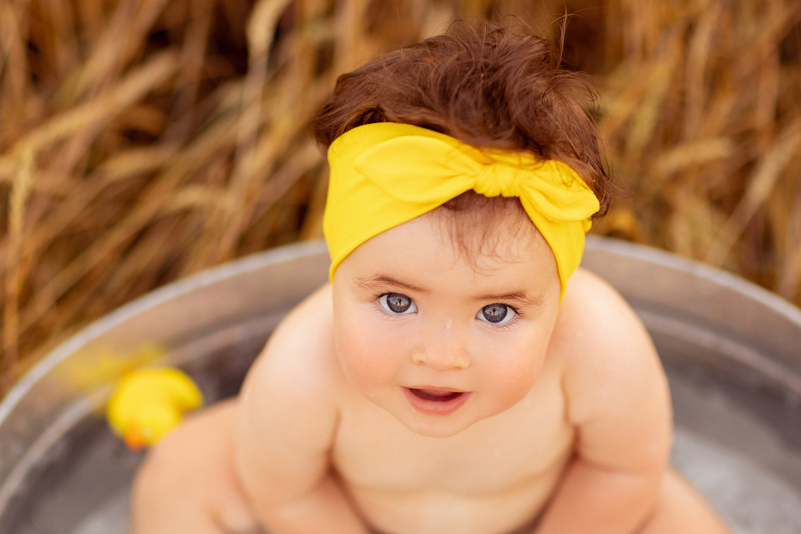 Купание в пшеничном поле. Семейный и детский фотограф в Краснодаре Анна Трашкова