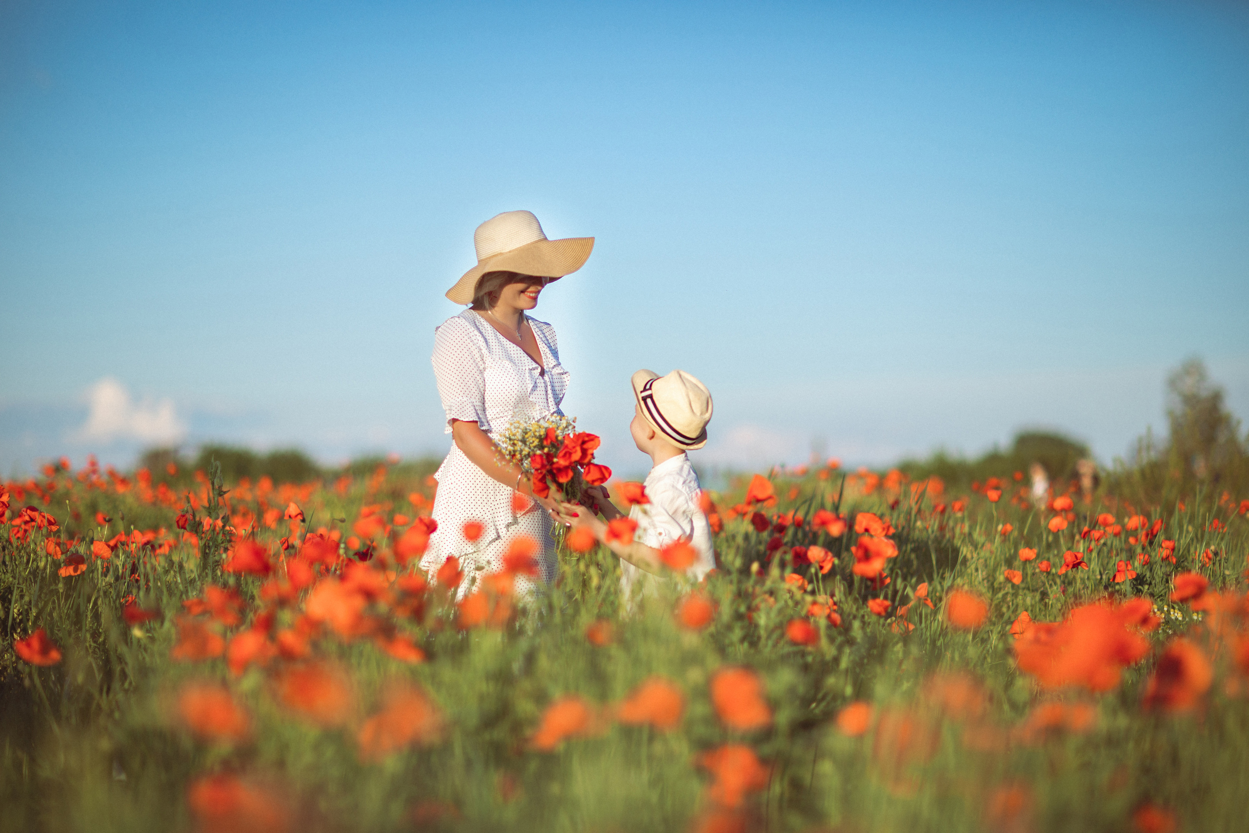 Фотосессия в маковом поле, Краснодар. Семейный и детский фотограф в Краснодаре Анна Трашкова