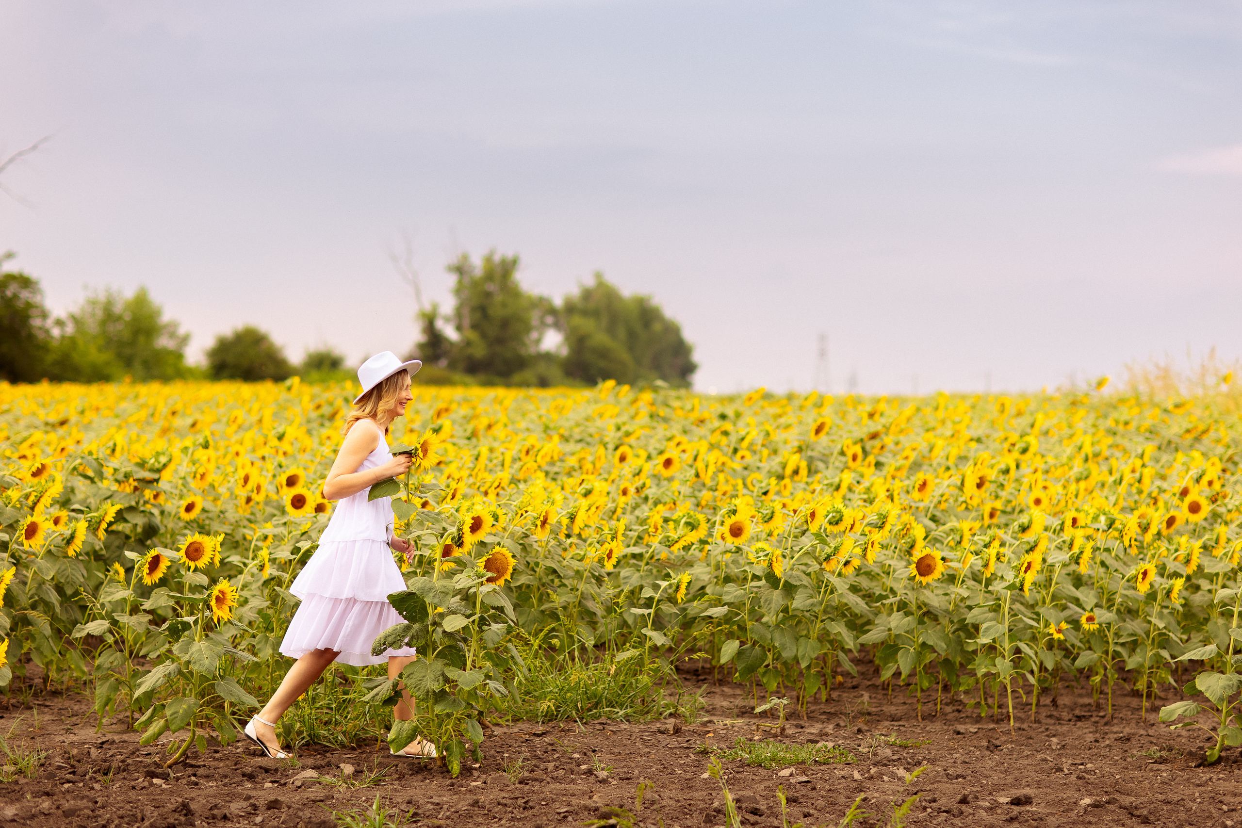 Фотосессия в подсолнухах в Краснодаре. Семейный и детский фотограф в Краснодаре Анна Трашкова