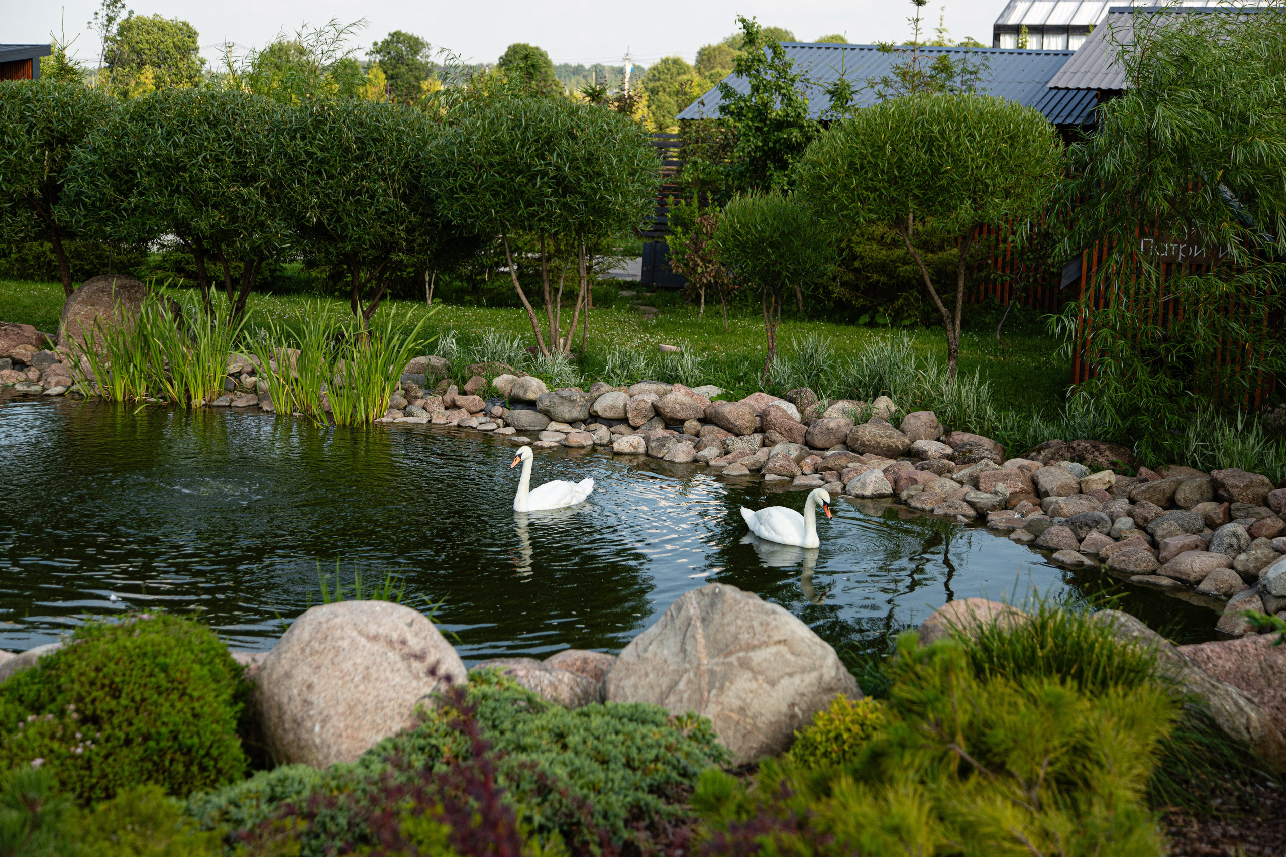 Лилиана и Сергей. Свадебный фотограф в СПб и Москве Павел Сергеев