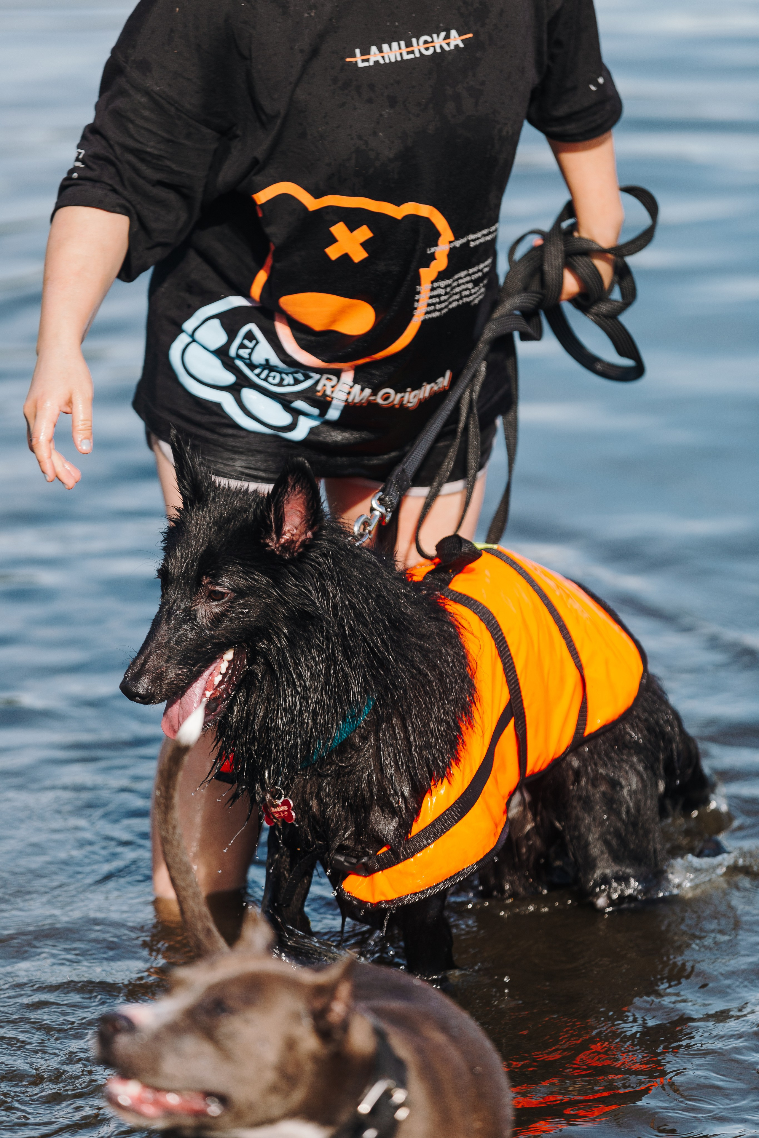 Petshop Sup day. Фотограф анималист Кристина Карпова, Москва