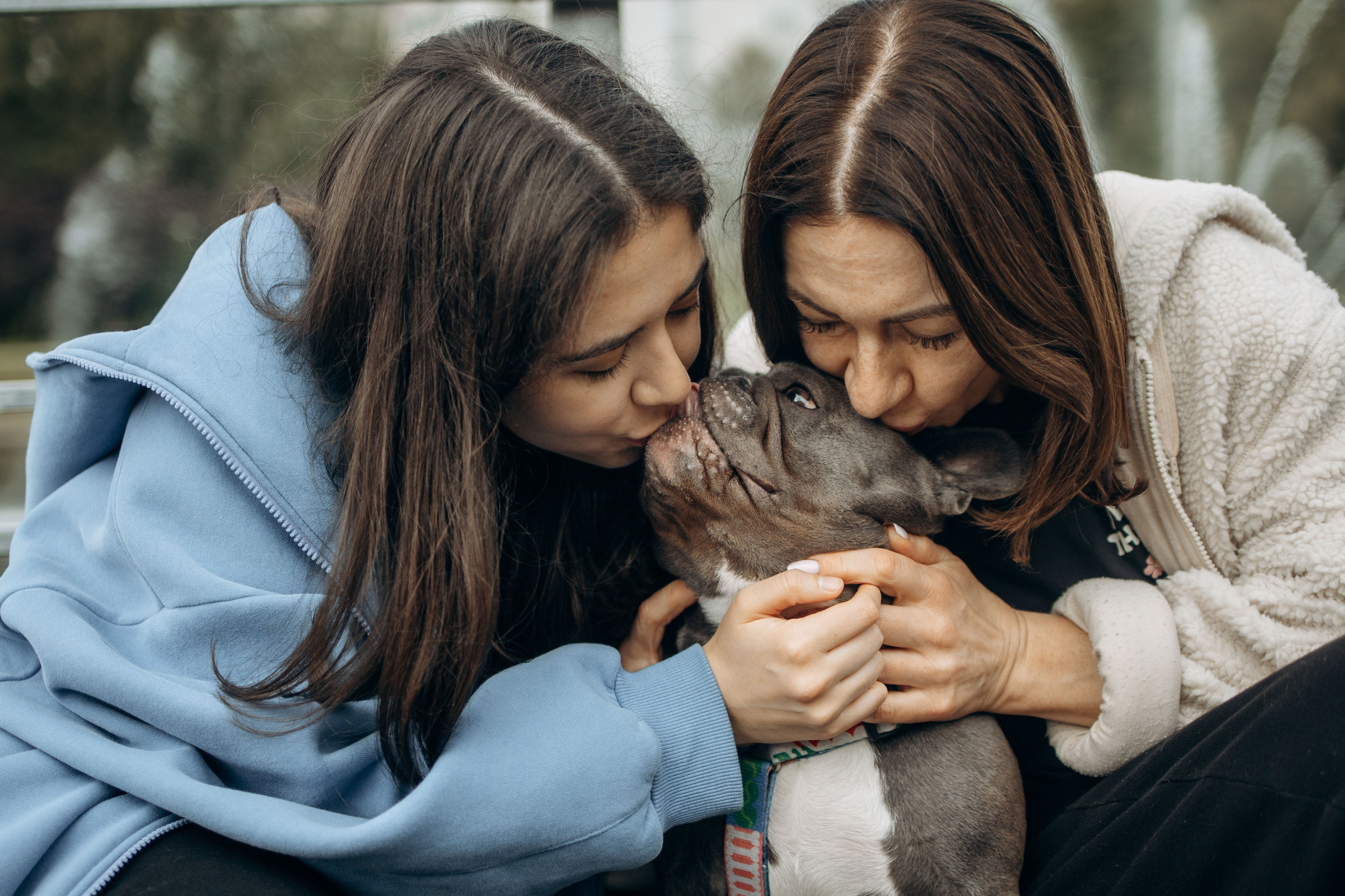 Грей и его семья