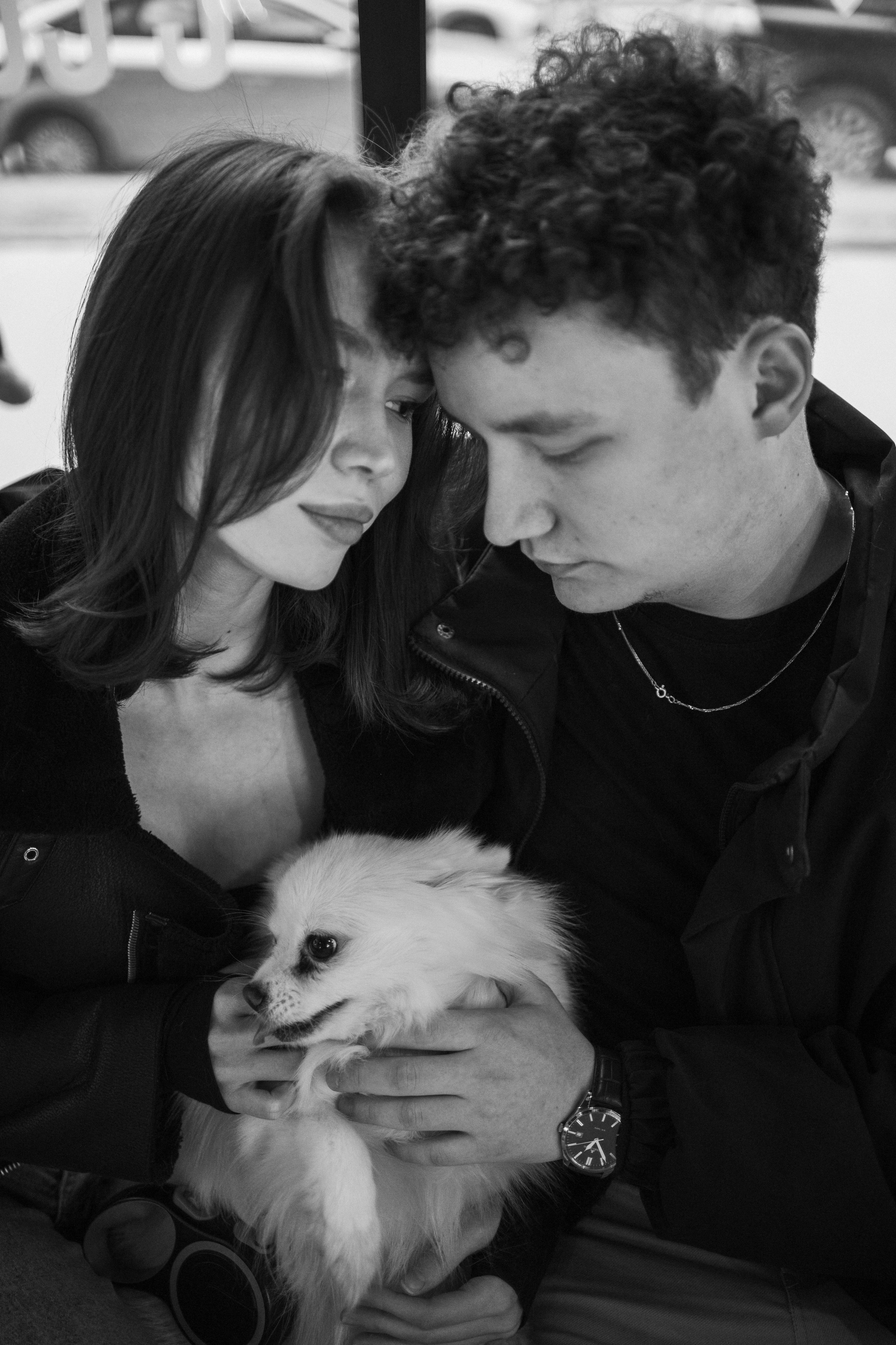 Шпиц Мася и ее семья