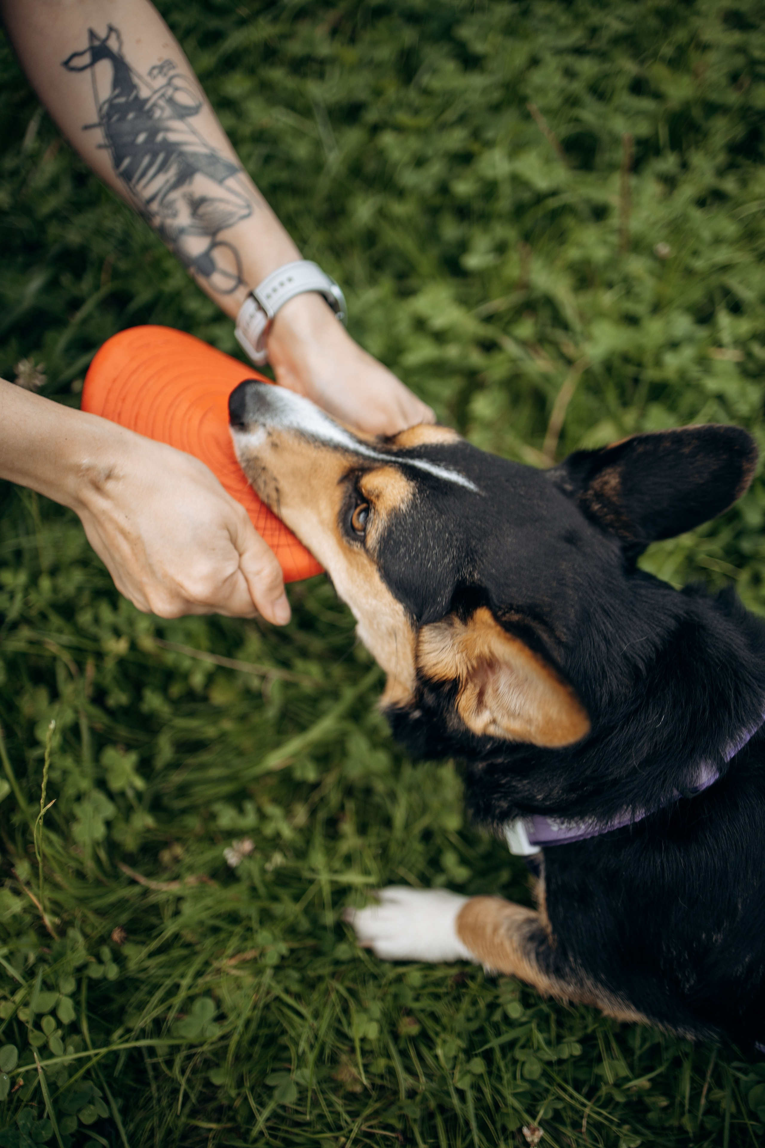 Тамара и Бусинка