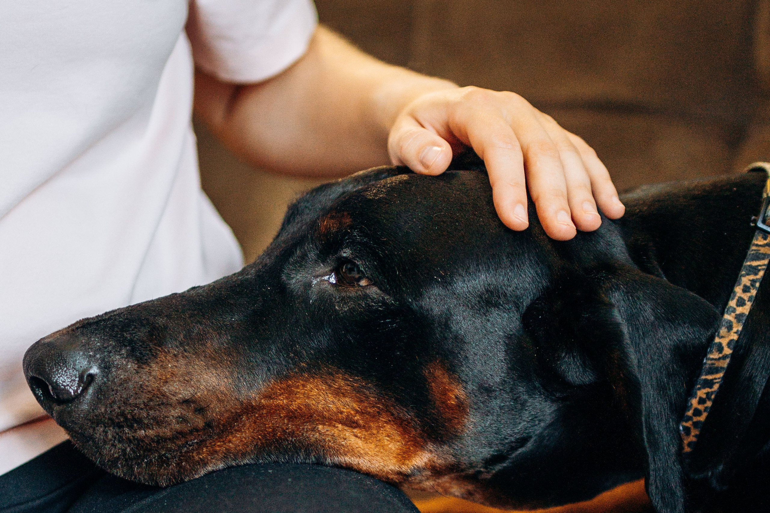 Катя и Конор