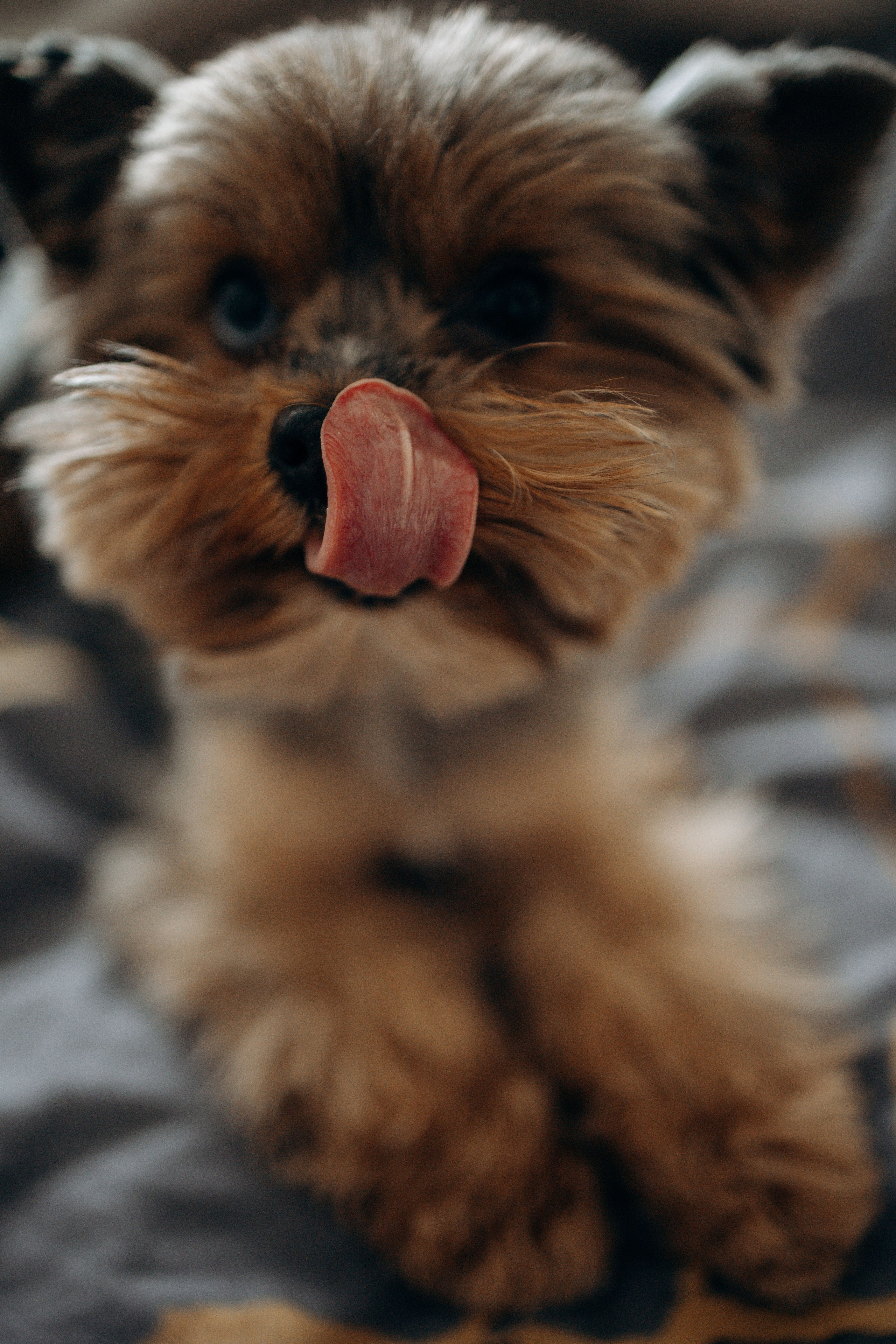 Настя и Йося