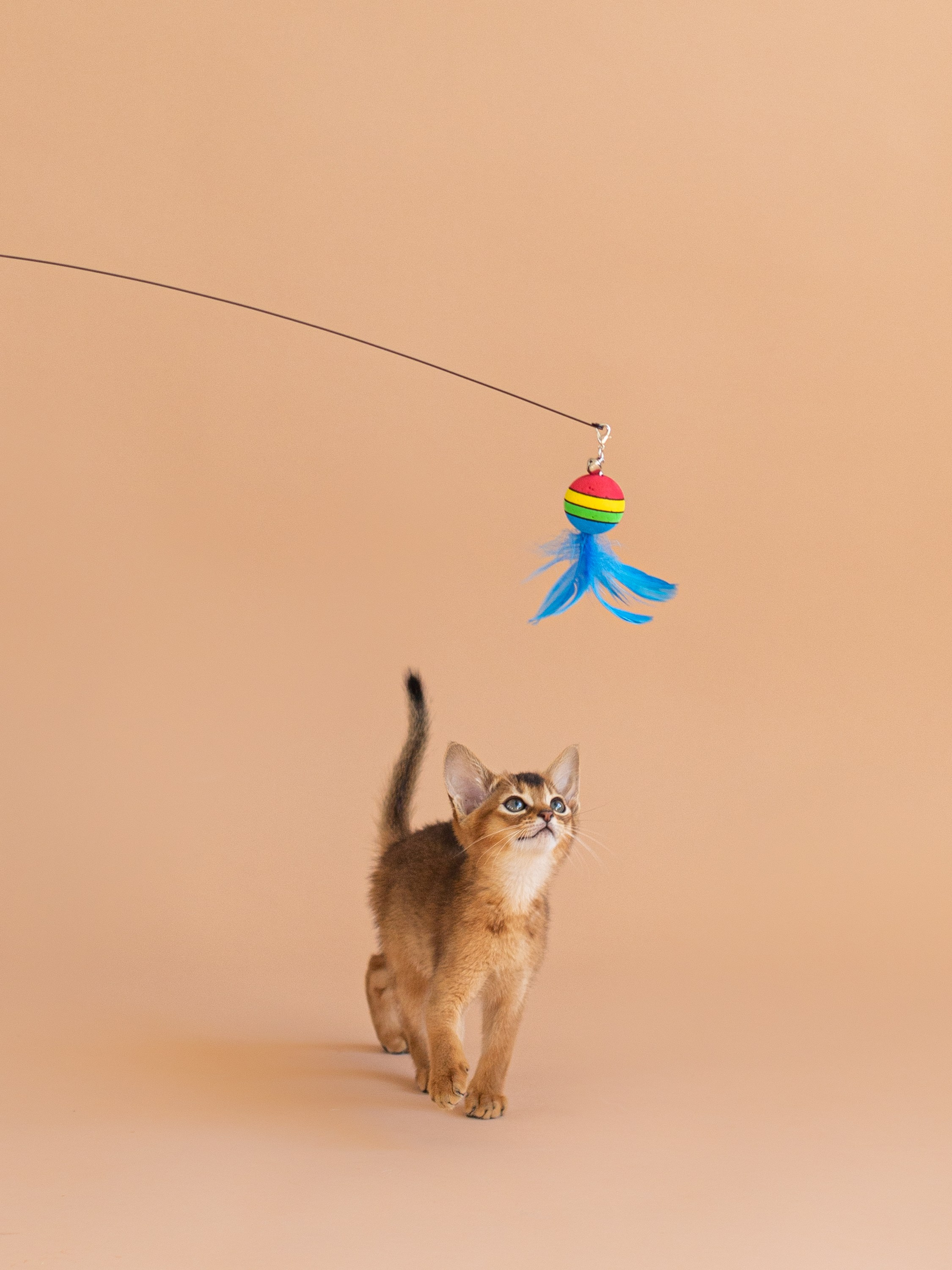 Маркетплейсы WB/OZON/Яндекс Маркет. Свадебный фотограф Москва. Семейный фотограф. Предметная съемка, съемка одежды