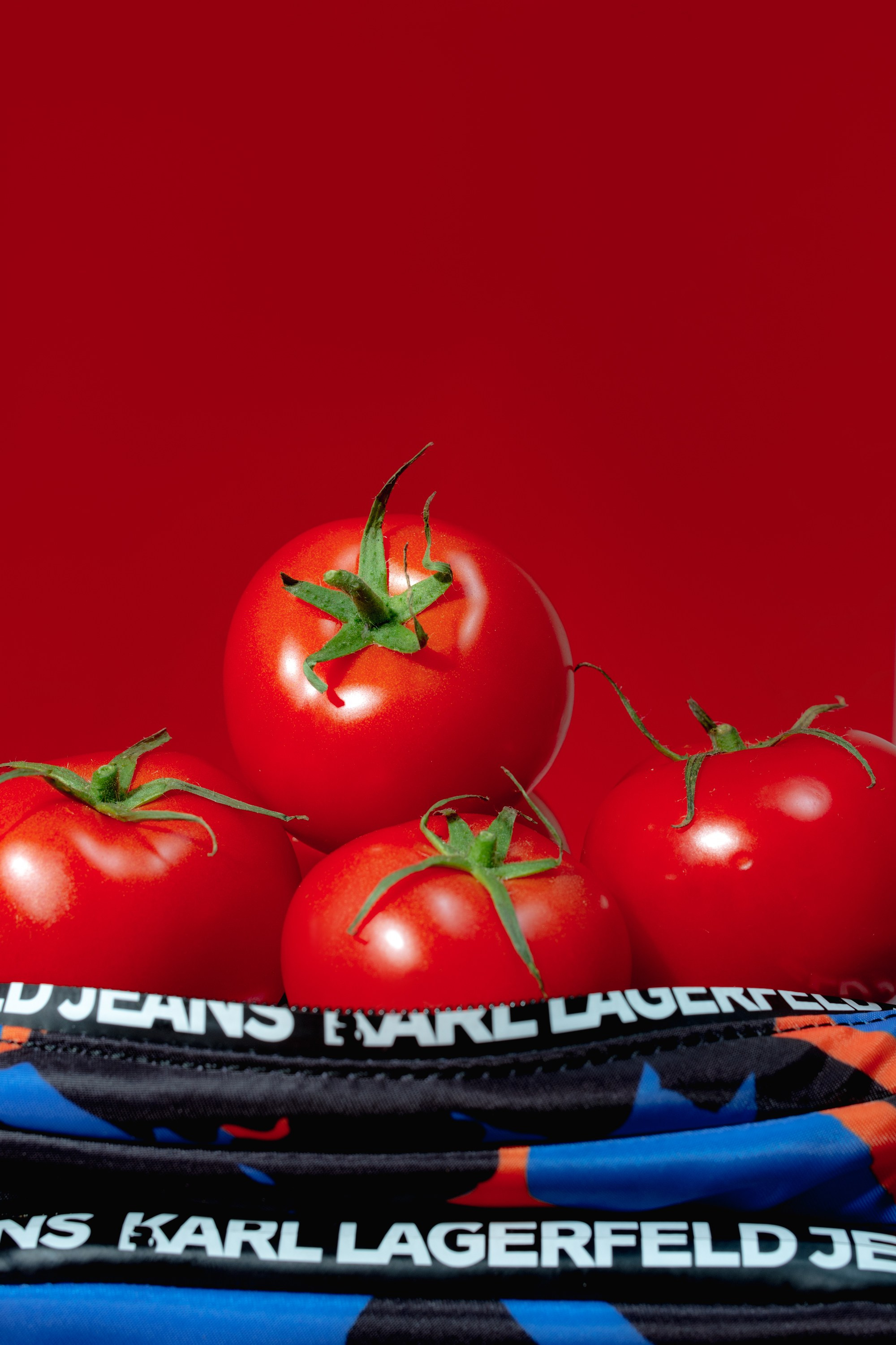 Karl Lagerfeld710. Коммерческий фотограф в Казани Ксения Добролюбова