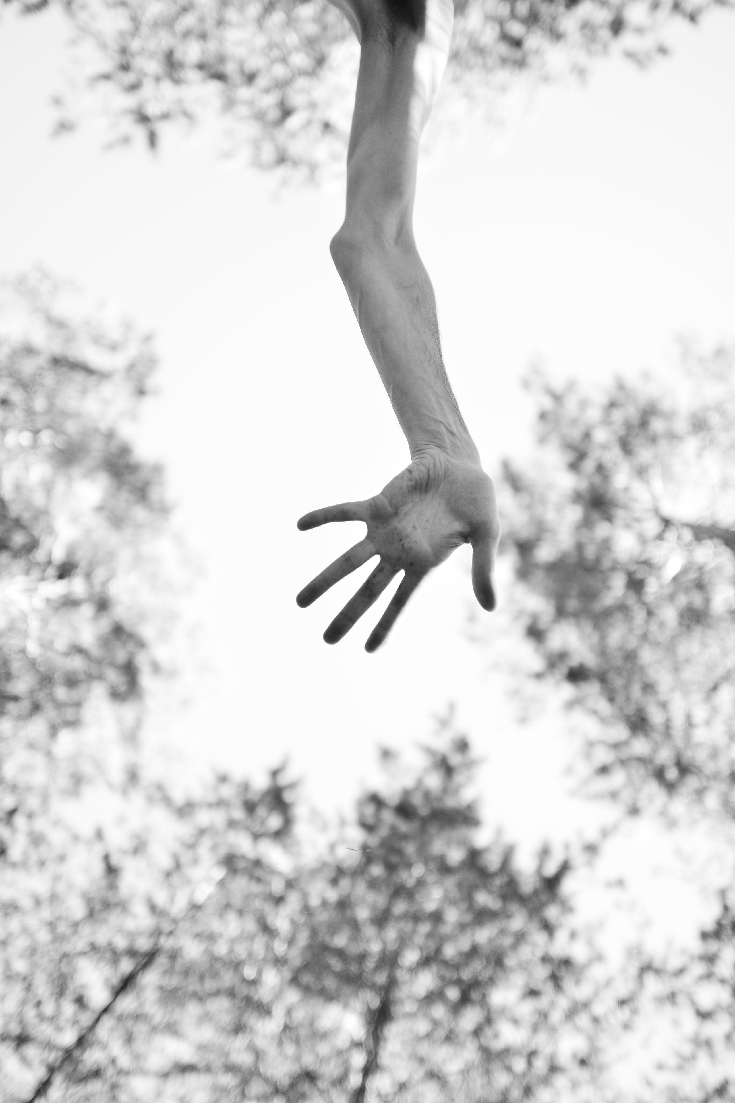 Фотограф Светлана Амирханова