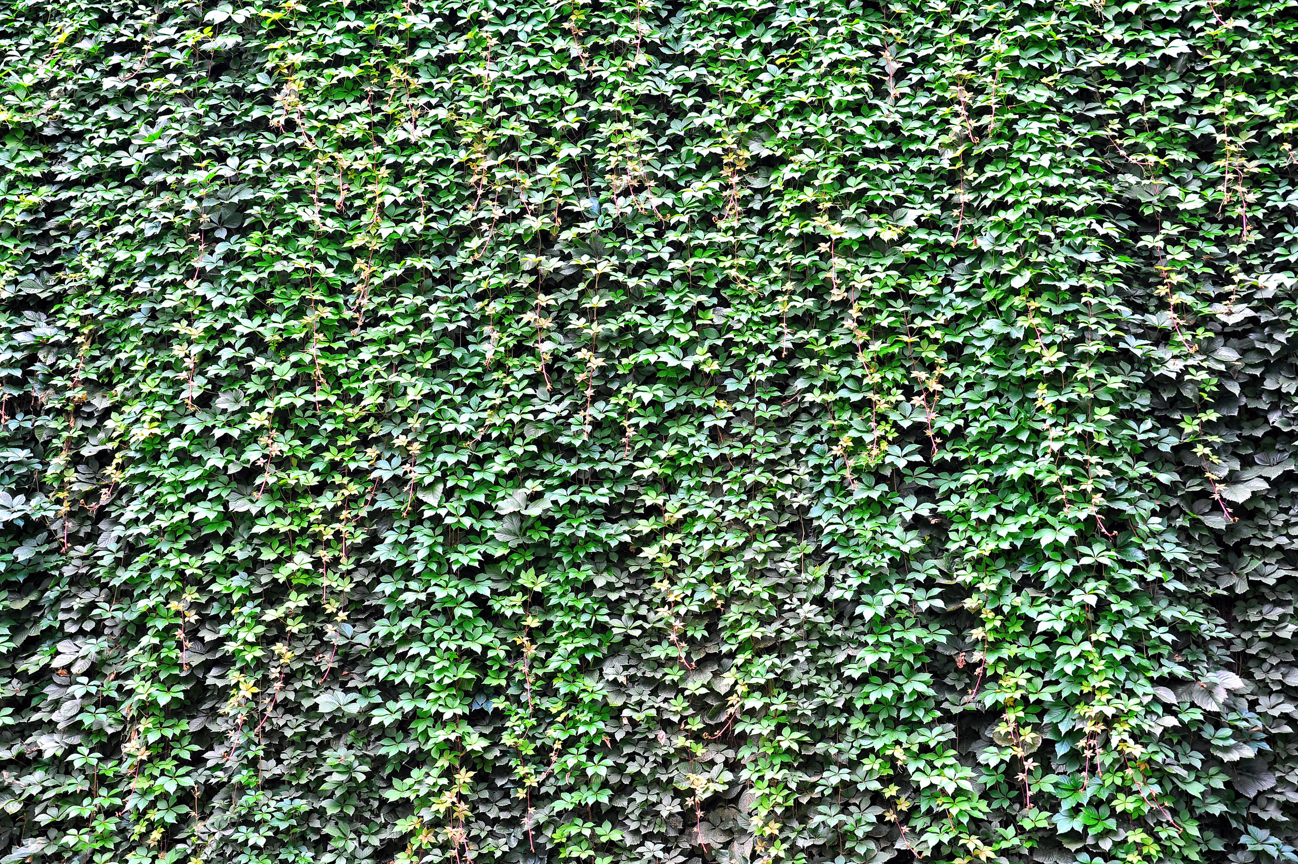 Загадочный Китай. FotoGraf