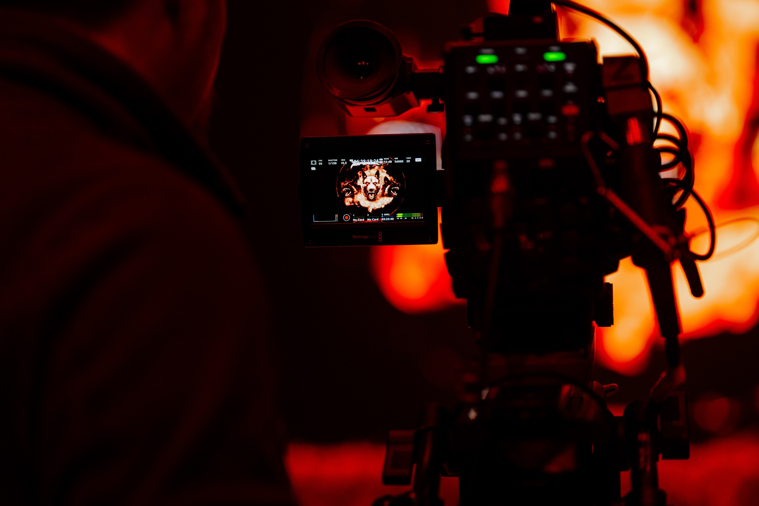 TOP DOG. Максим Комаров — Профессиональный фотограф