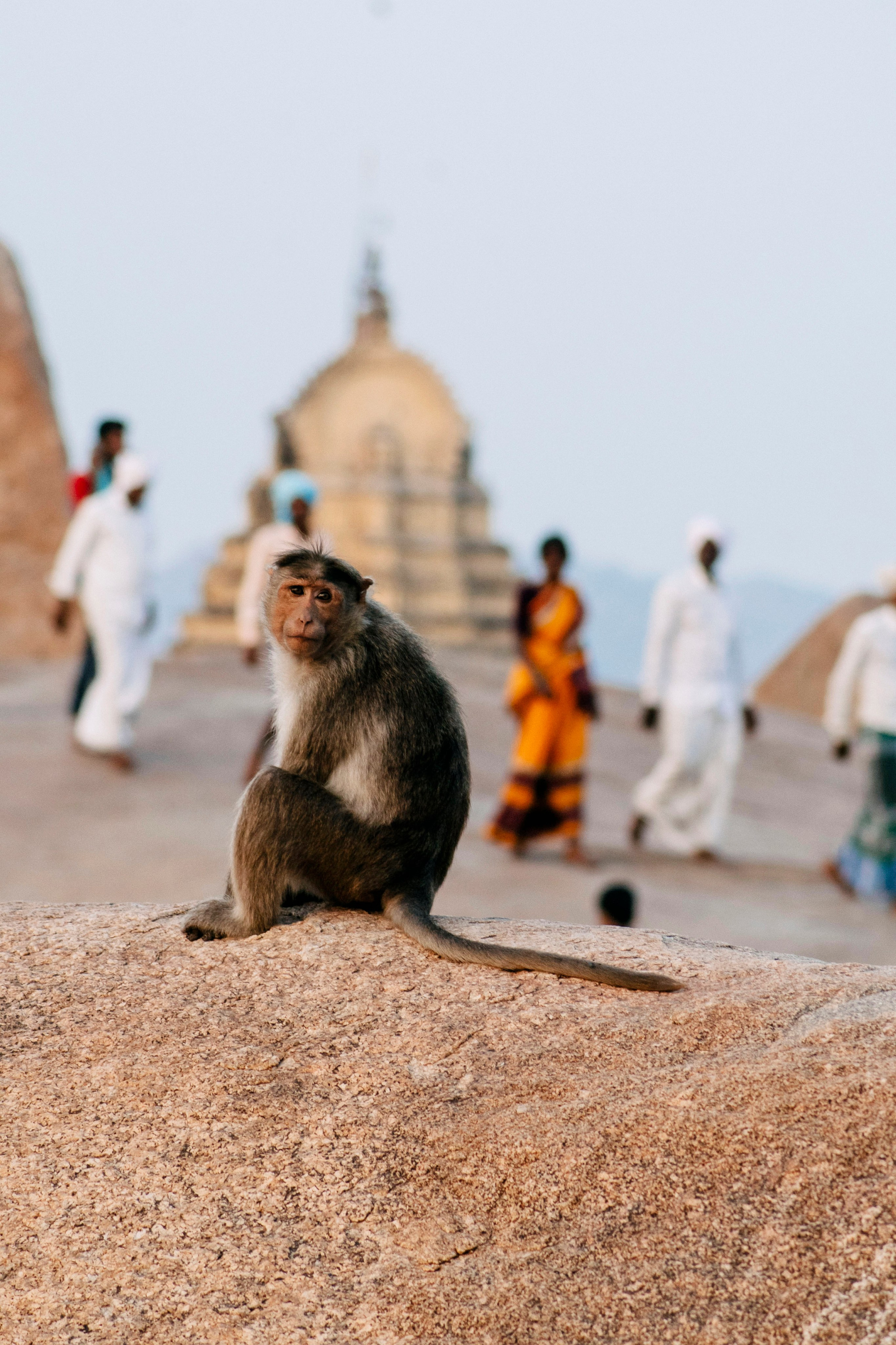 Hampi street. Iraogo