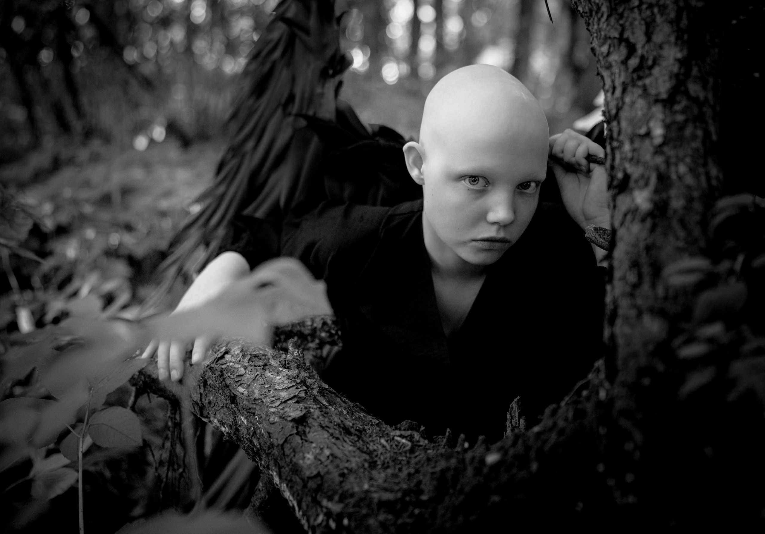 Ангелы. Фотограф Сергей Танков