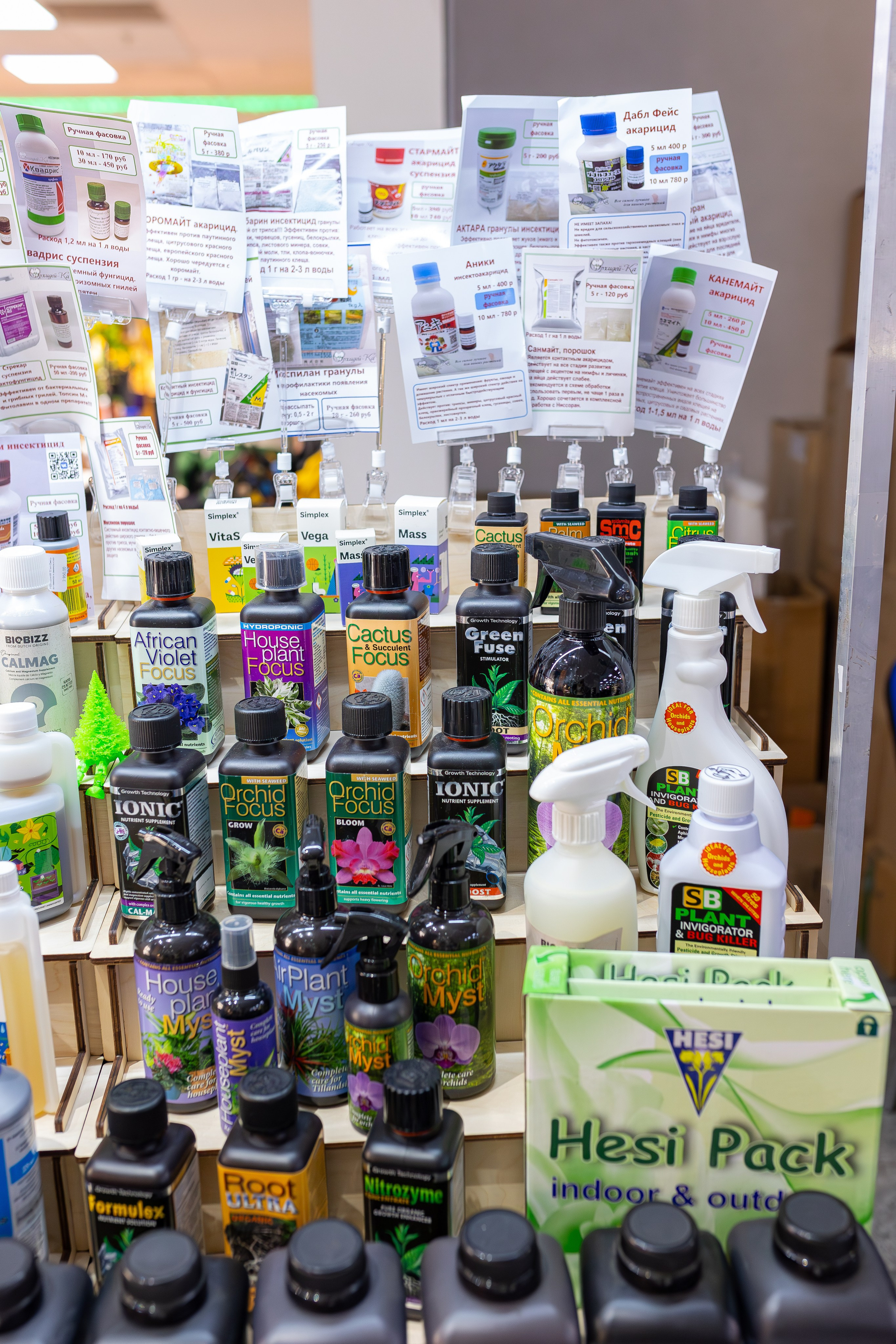 Орхидиум 12.2025. Александра Куликова фотограф, Москва