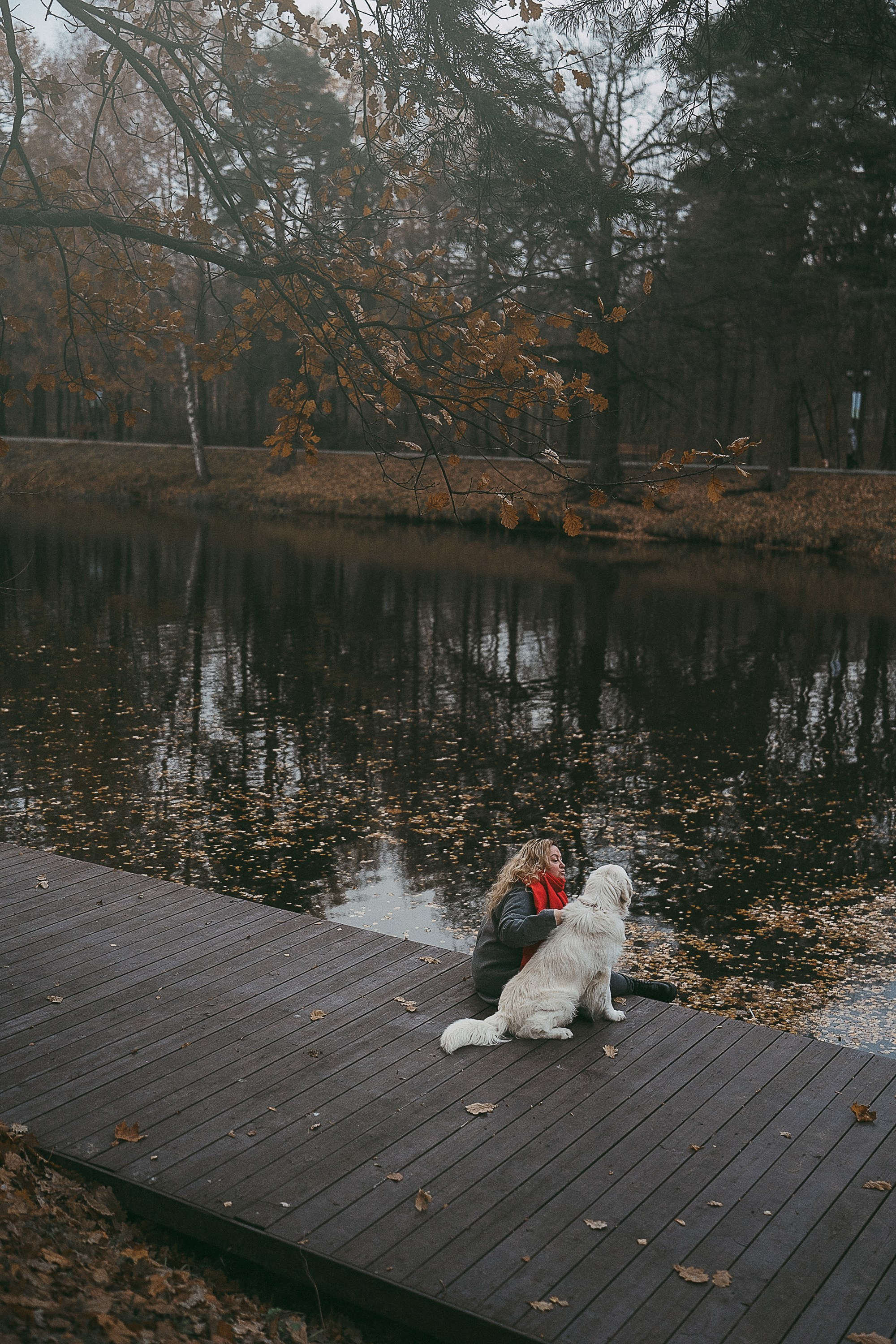 Лена и Мерлин. Фотограф анималист в Москве и Санкт-Петербурге Свиридова Анна