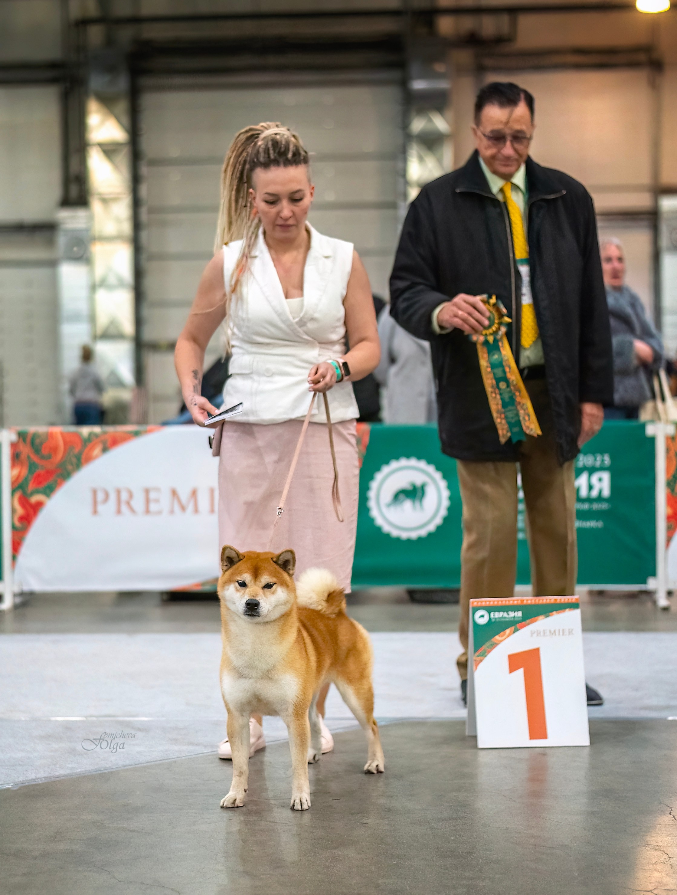 Репортажная съемка. Выставки, в ринге и за рингом. Фотограф-анималист Ольга Фомичева