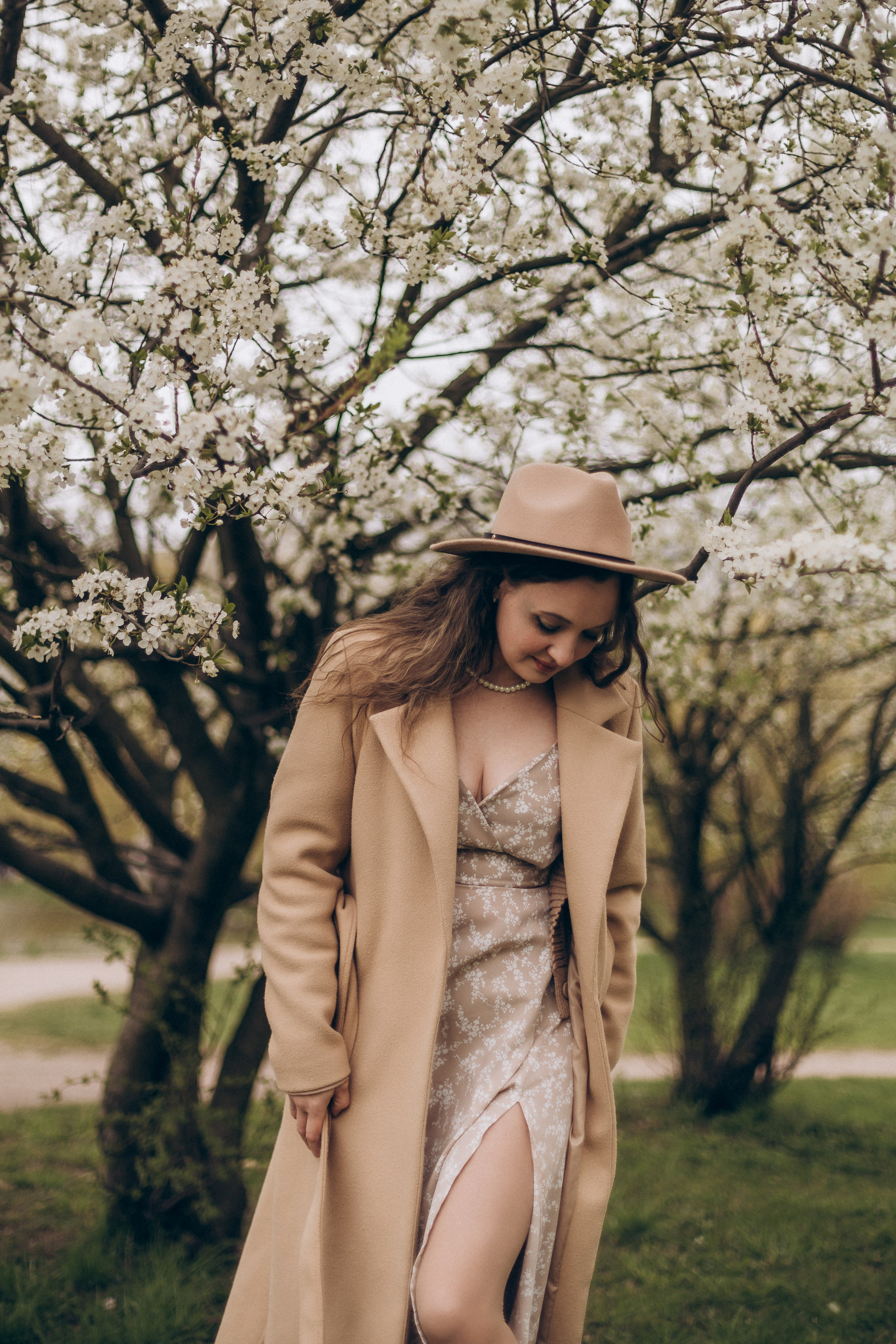 Ксения-Яблоня