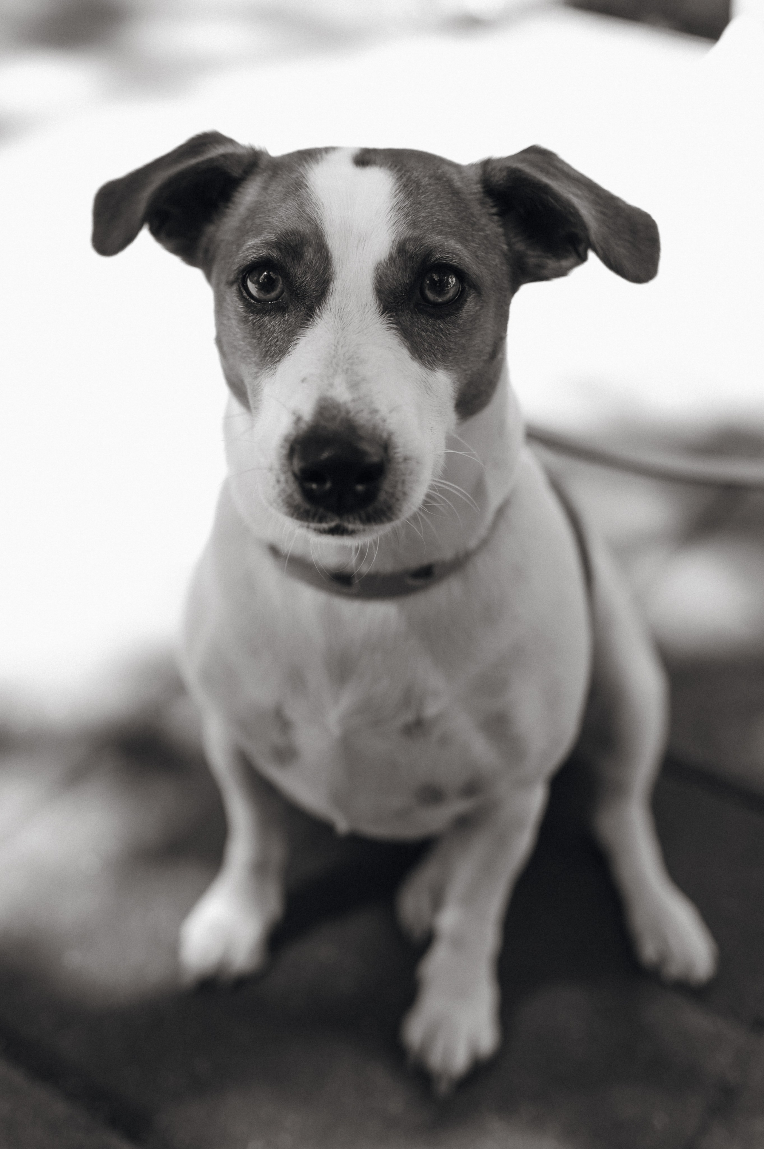 Полина и Егор. Особняк Спиридонова. Свадебный фотограф Москва и Санкт-Петербург. Анастасия Чудина
