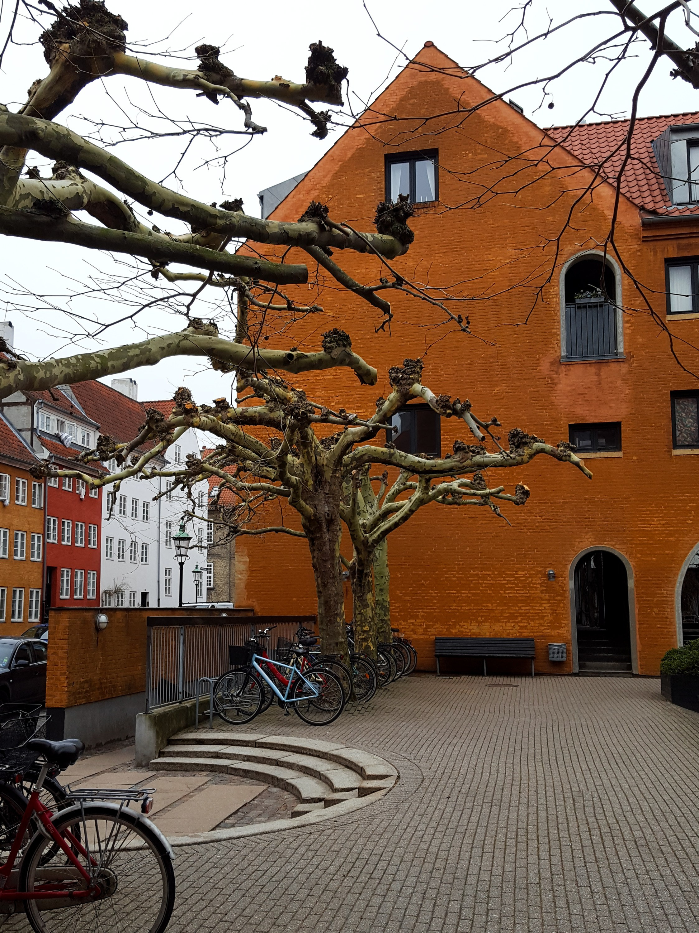 ЖИВЫЕ ГОРОДА. Любовь Моргасова [LU SPRING]: Фотограф и куратор