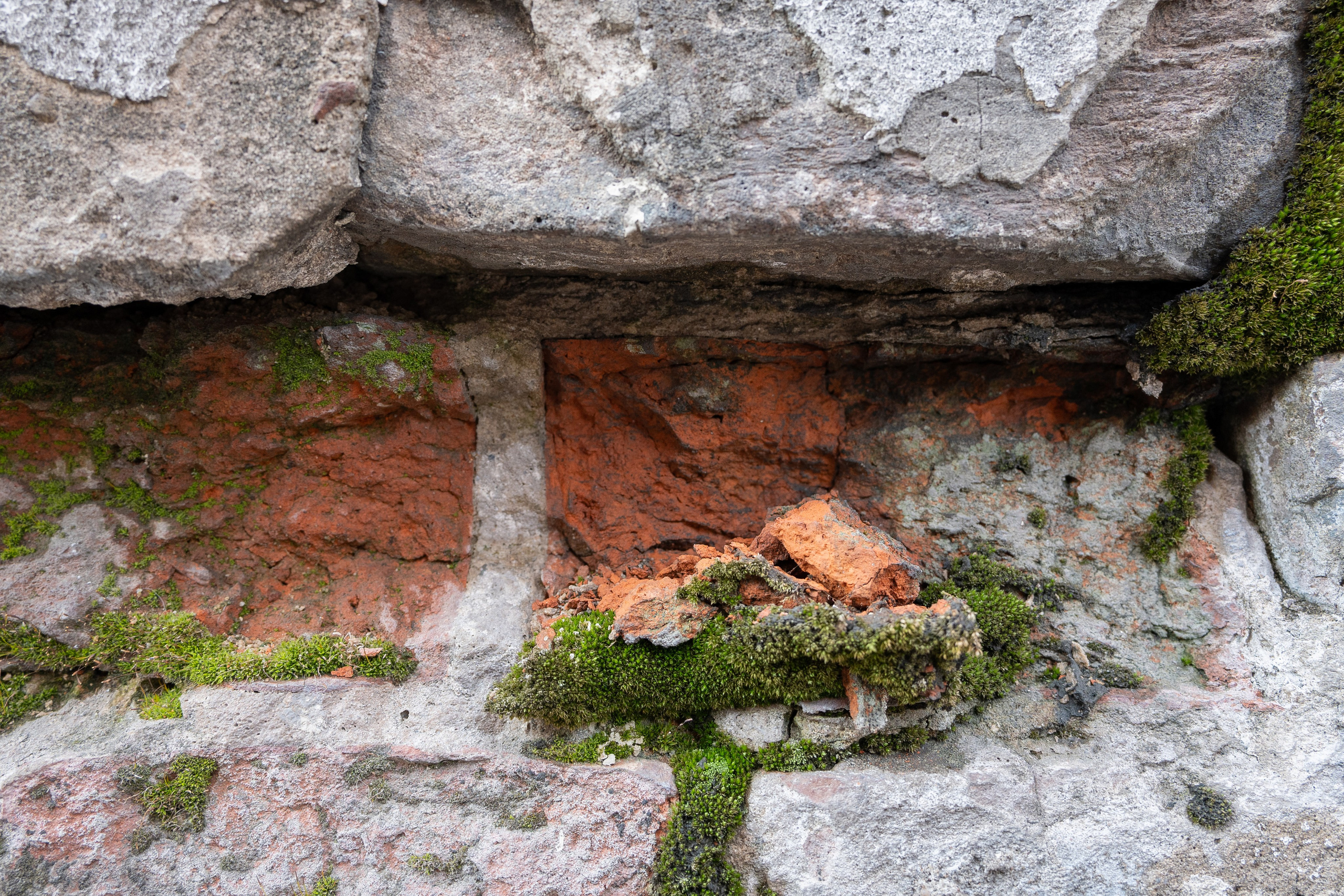 20250329 Лубянка — Чистые пруды. Дмитрий Ремизов. Фотография, как хобби