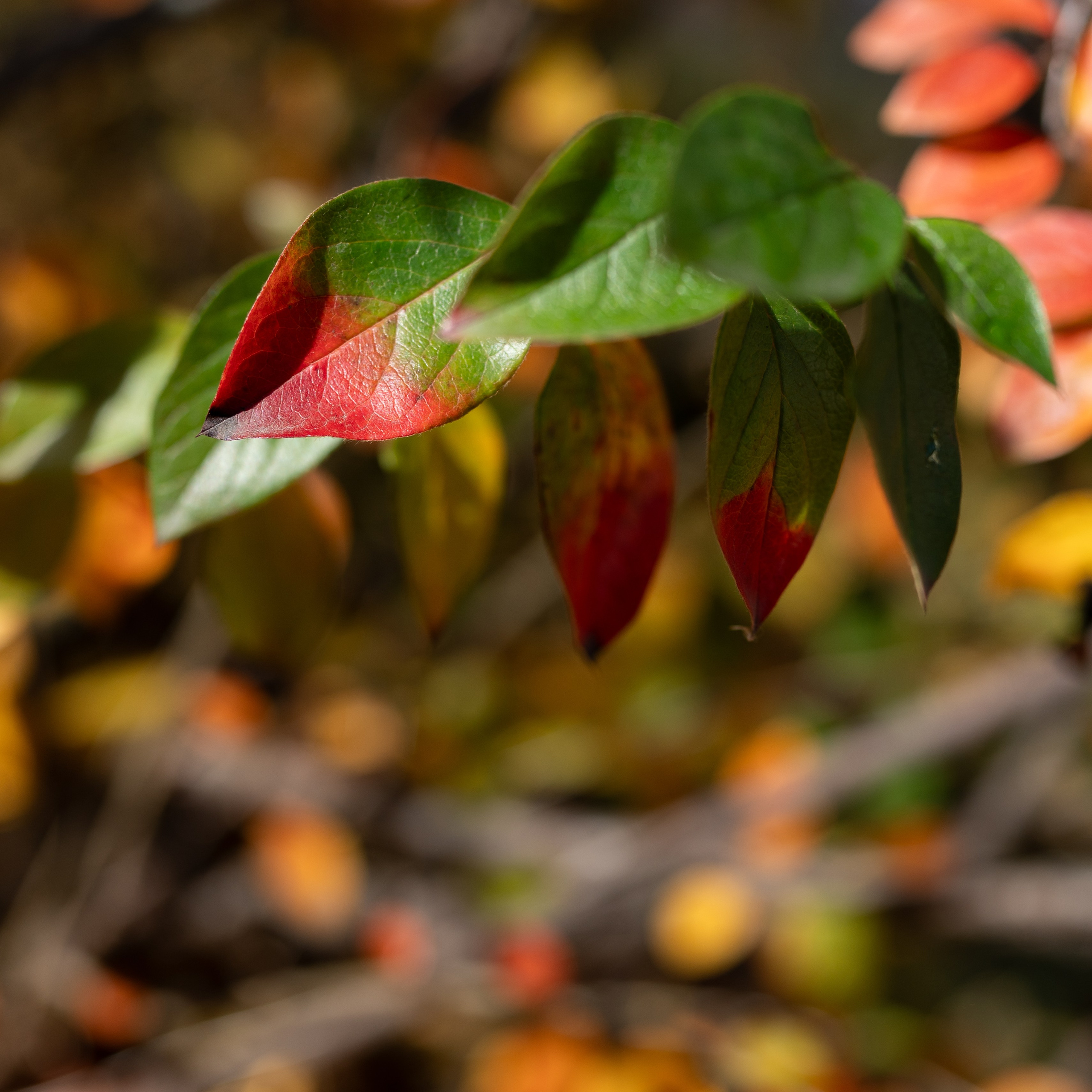 20251012 МГУ. Дмитрий Ремизов. Фотография, как хобби