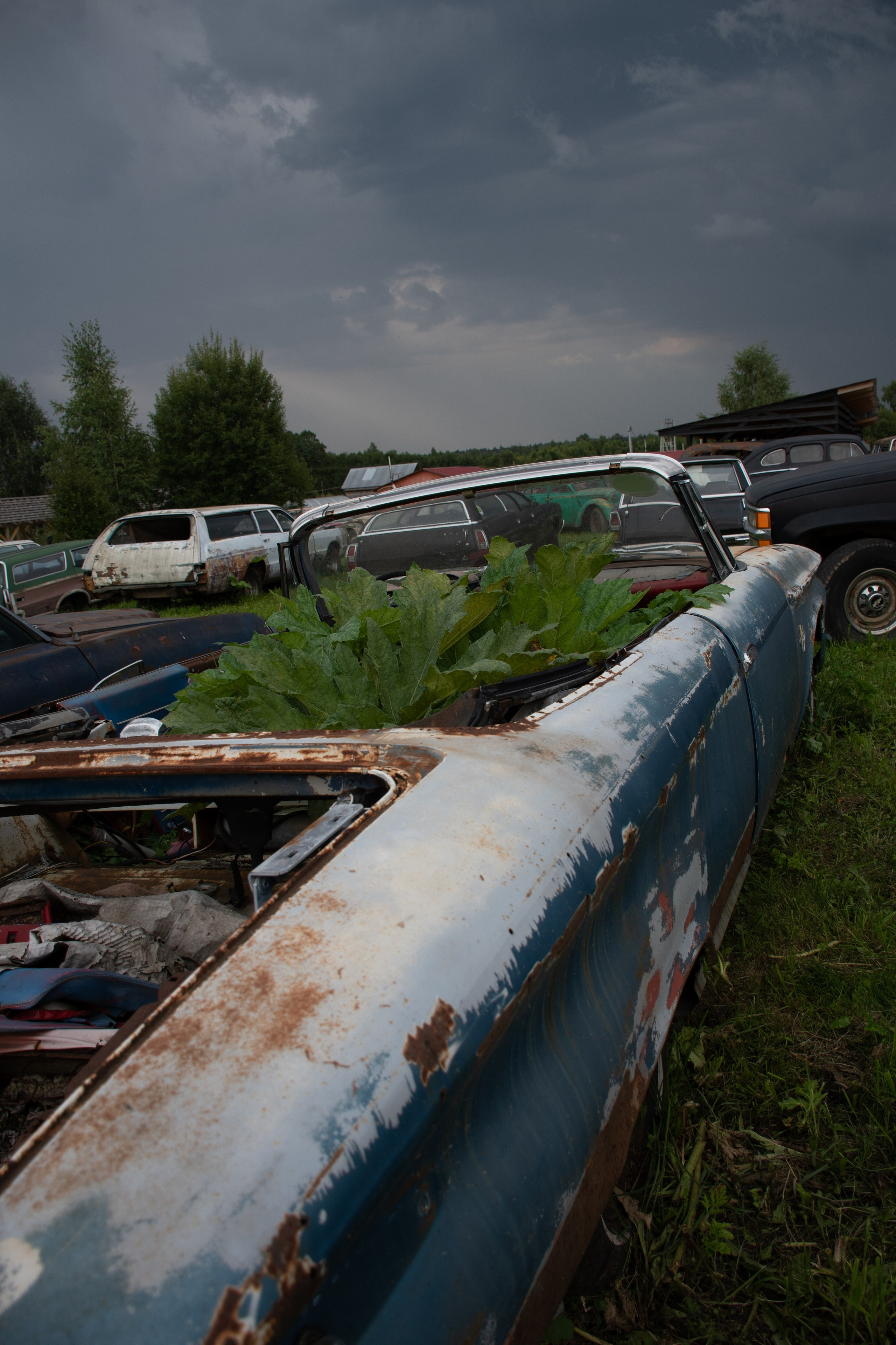 20210807 Автокомбинат. Дмитрий Ремизов. Фотография, как хобби