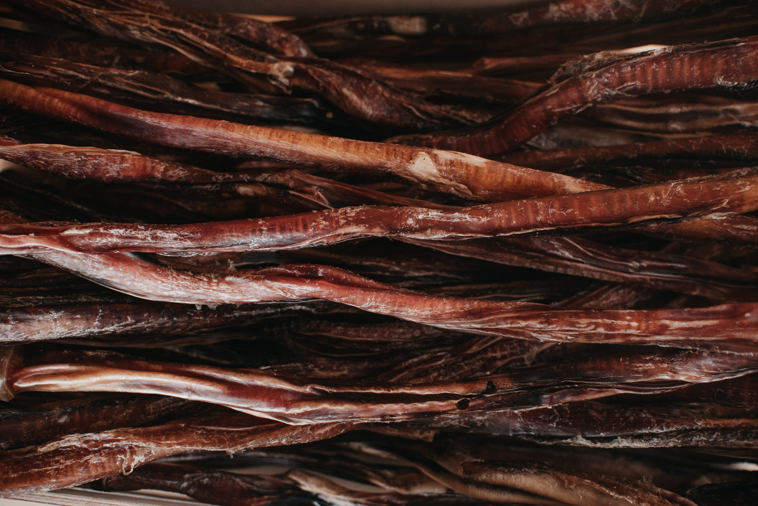 Dog Bone лакомства. Фотограф-анималист Валерия, Москва, Мытищи