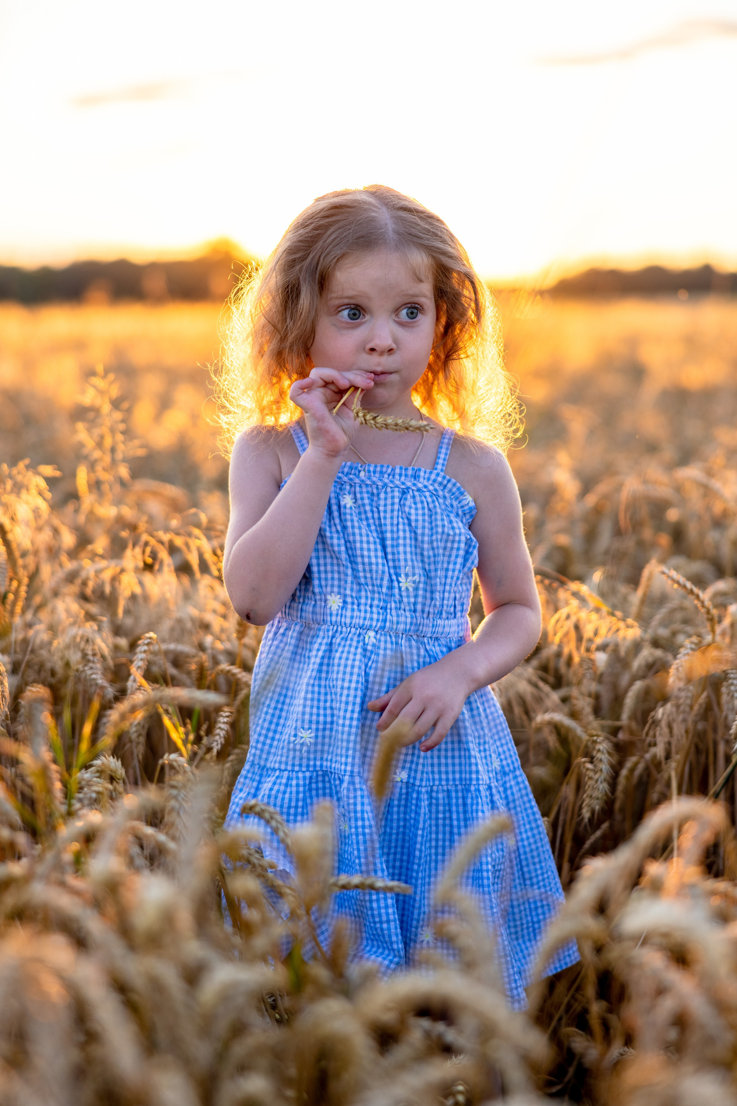 В пшеничном поле на закате. Фотограф в Туле Крупский АнДРей. Фотостудия «КАДР71» в Туле