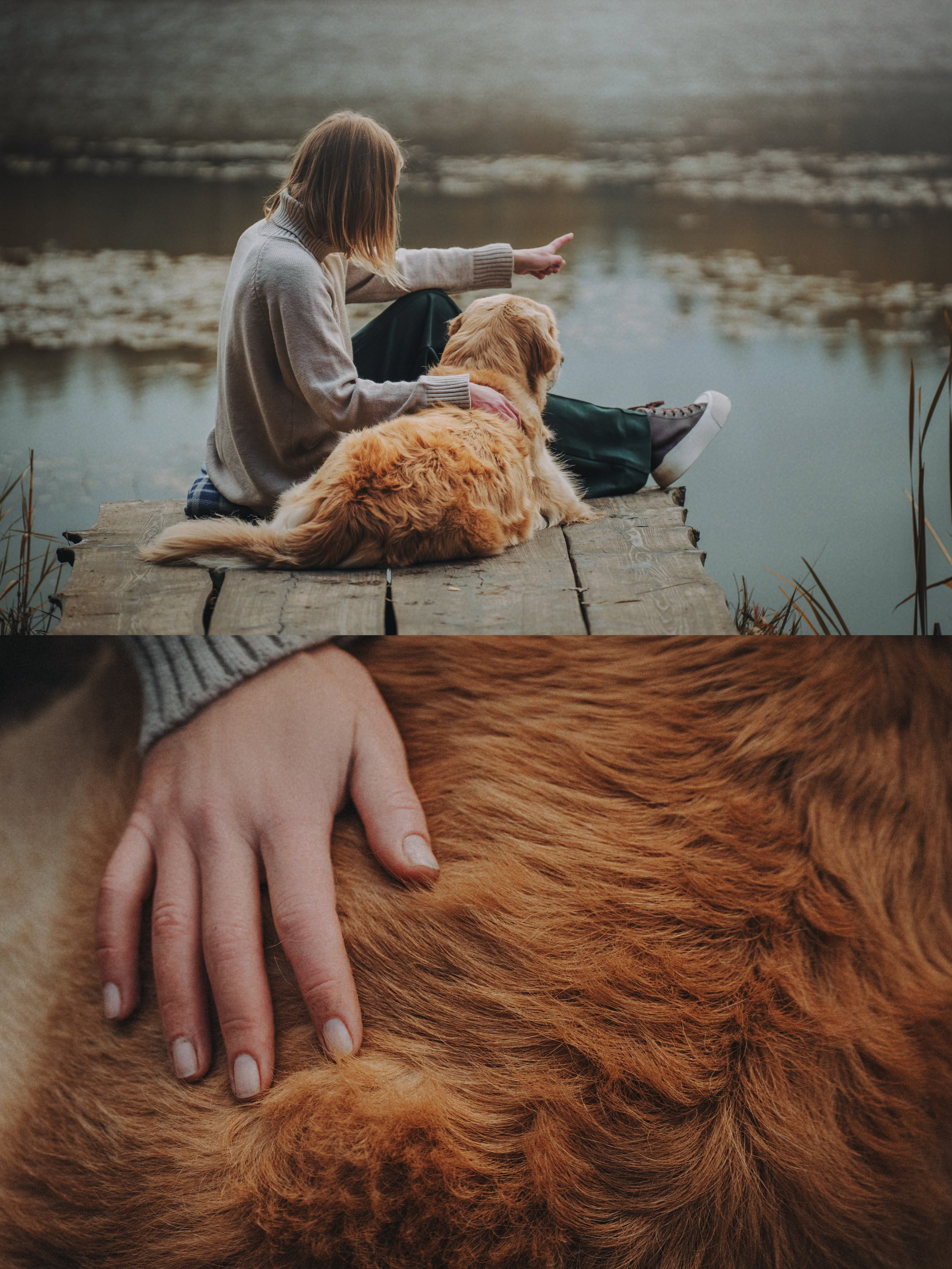 Анастасия и Айза. Фотограф анималист в Москве и Санкт-Петербурге Свиридова Анна