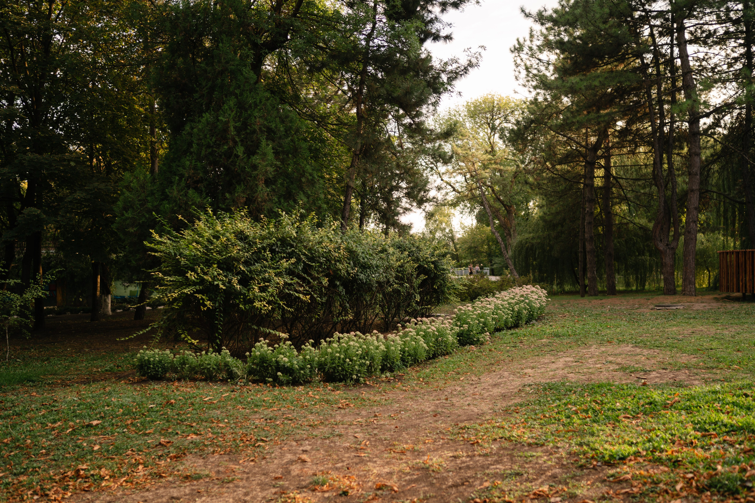 Локации для школьных съемок. Семейный фотограф и видеограф Ростов-на-Дону