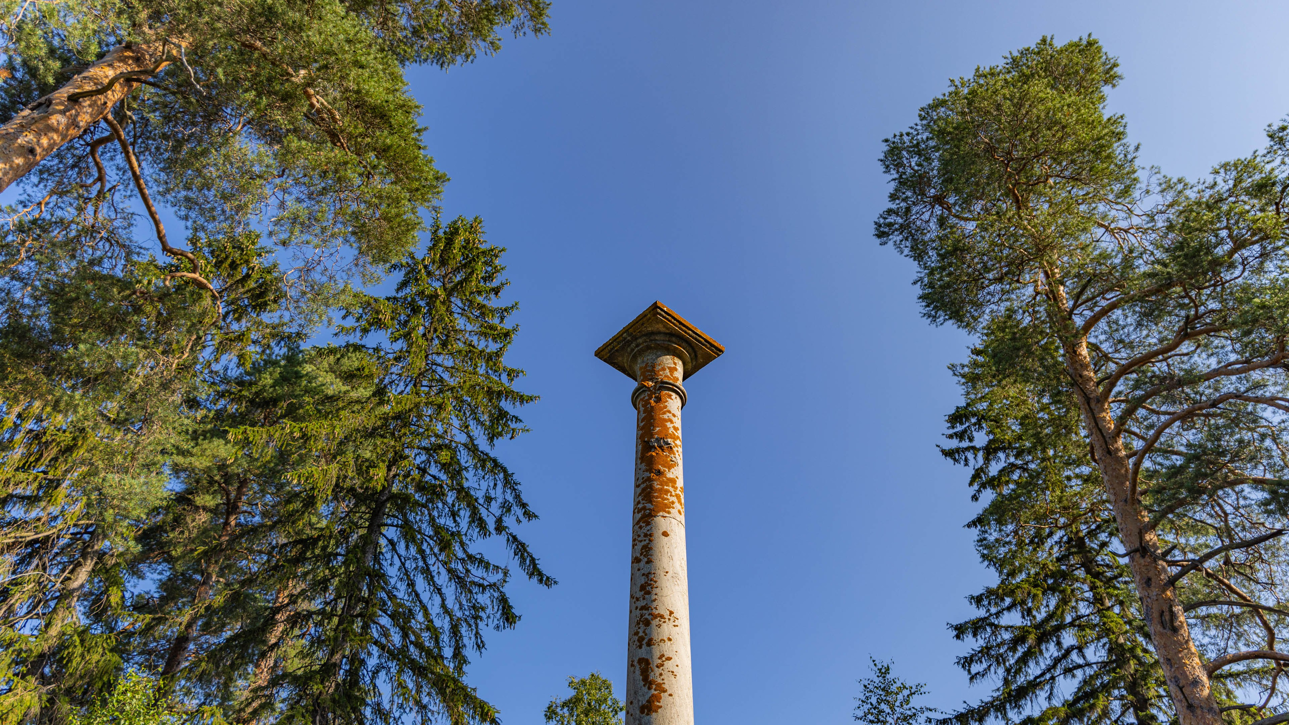 2025 07 Выборг — Сортавала — Великий Новгород — Псков. Фотографии