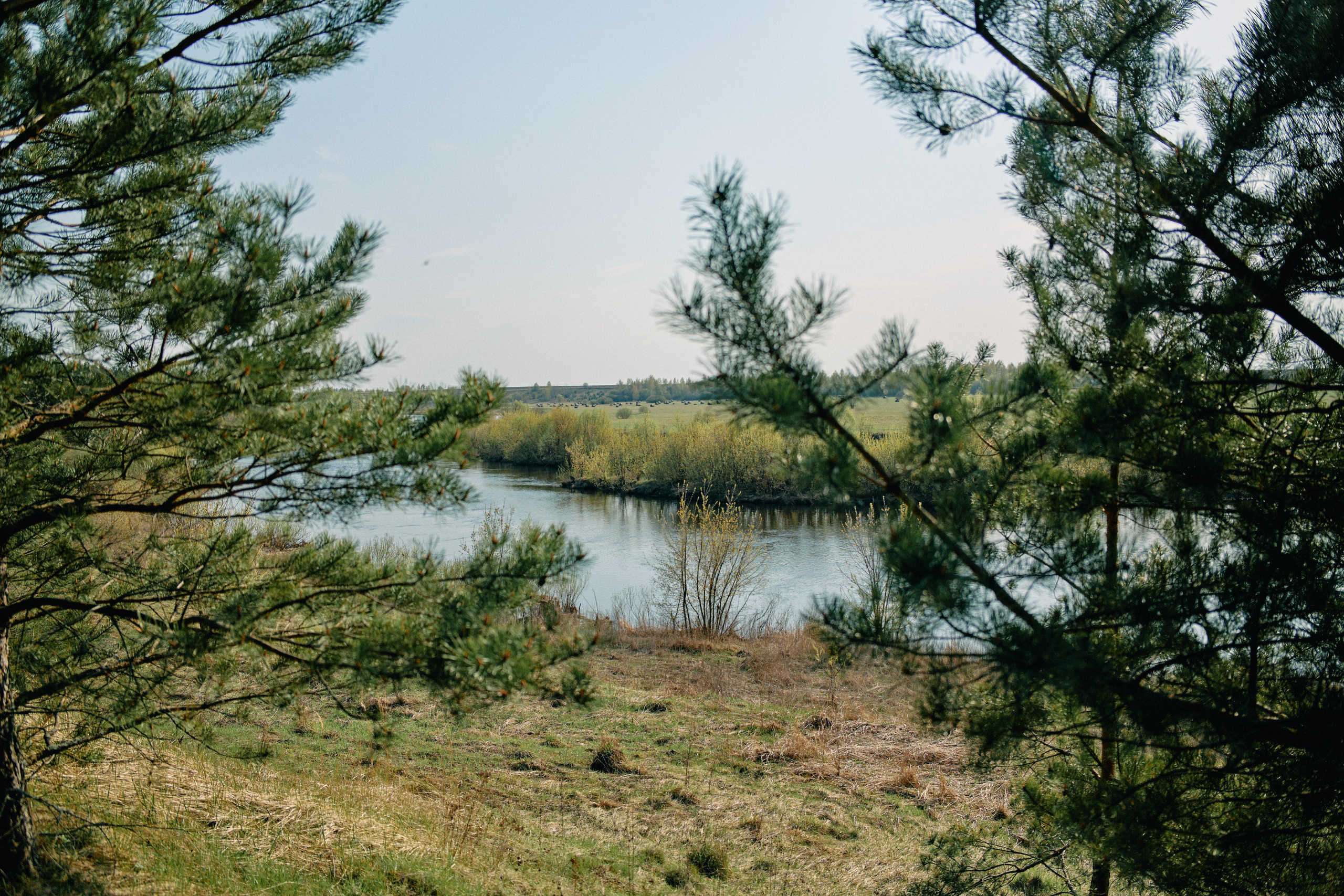 Бутик-отель Поле летом. Профессиональный Фотограф во Владимире, в Москве и в Суздале — Полина Романычева