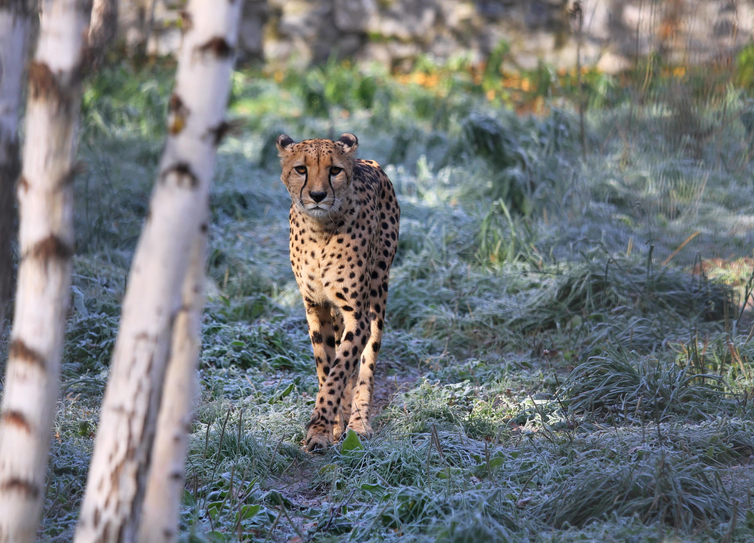 Фото путешественник Хазов Алексей. Новосибирск