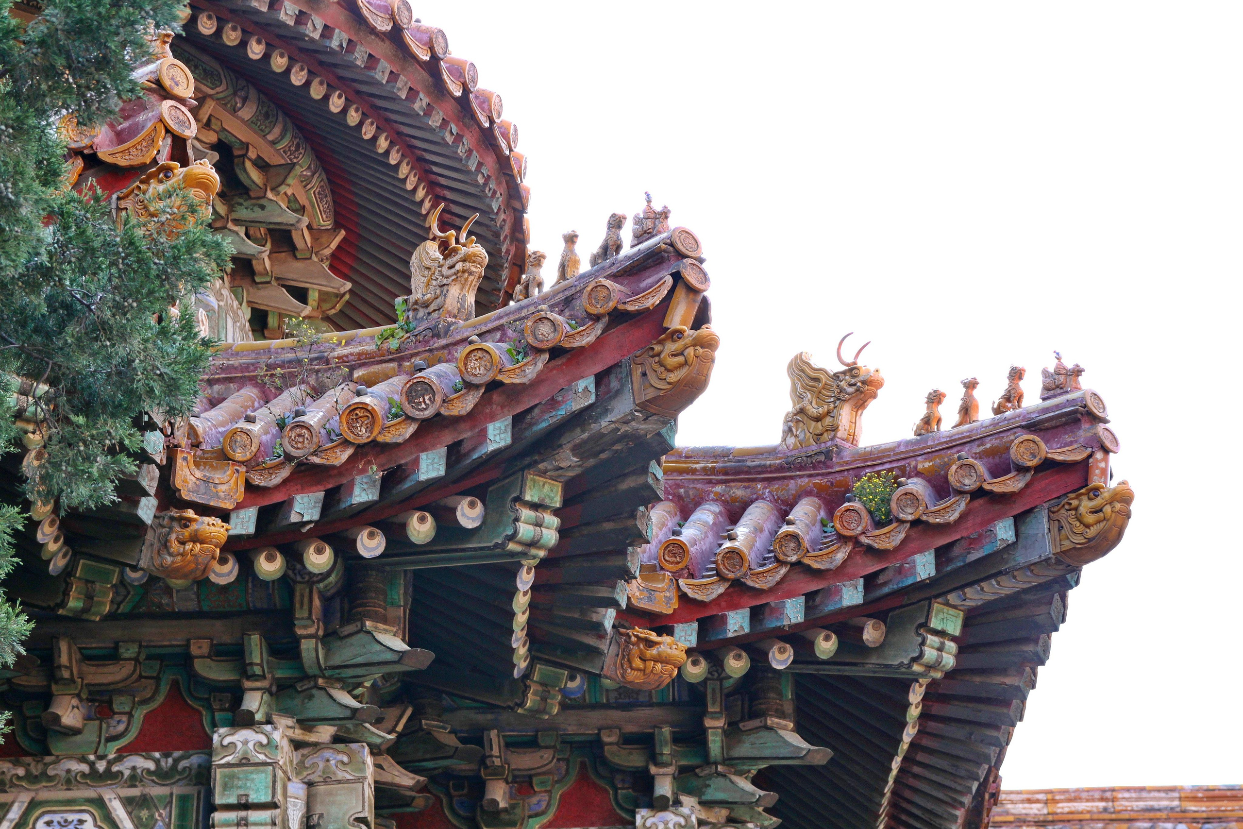 Китай в фотографиях из поездок