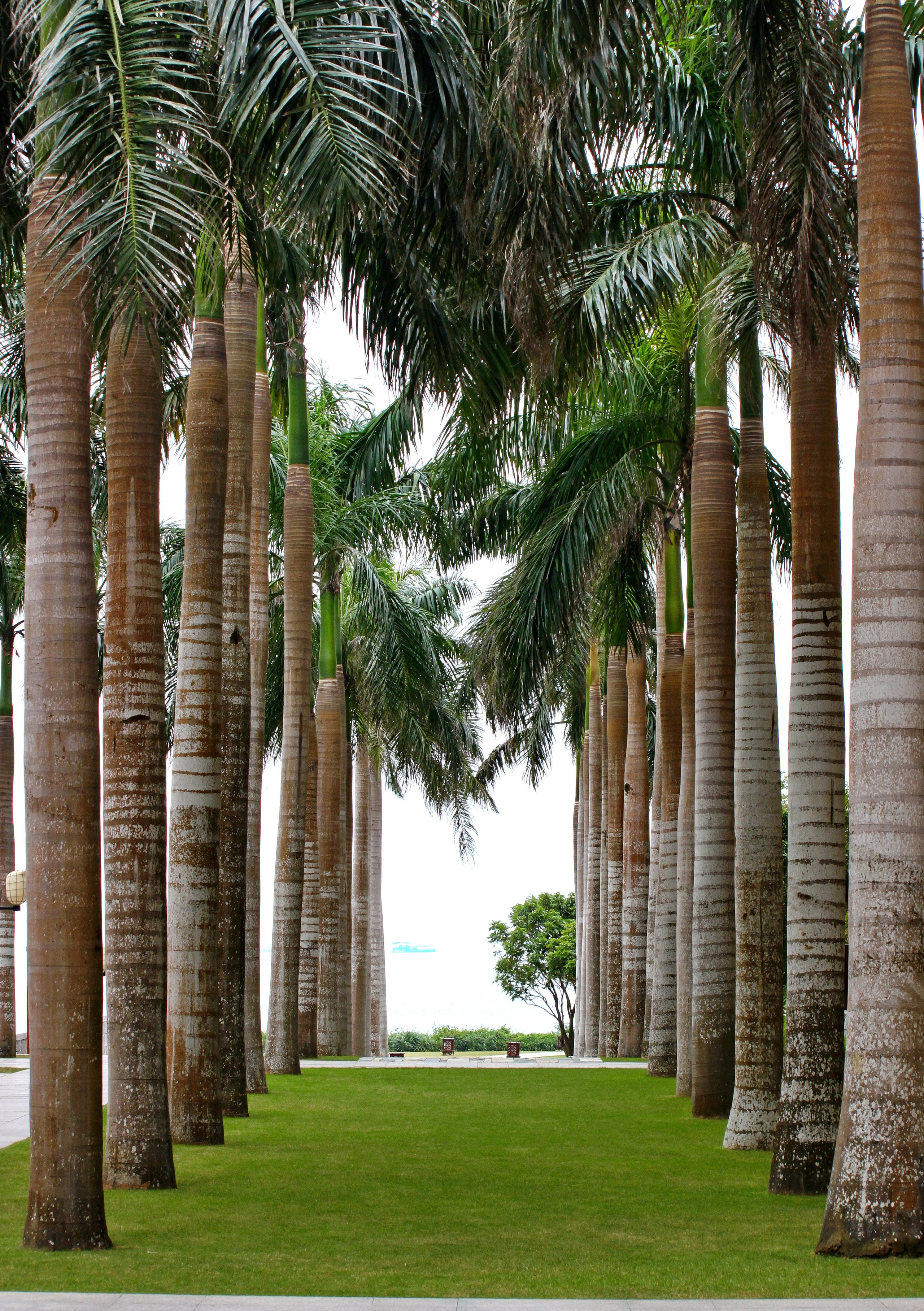 Китай в фотографиях из поездок