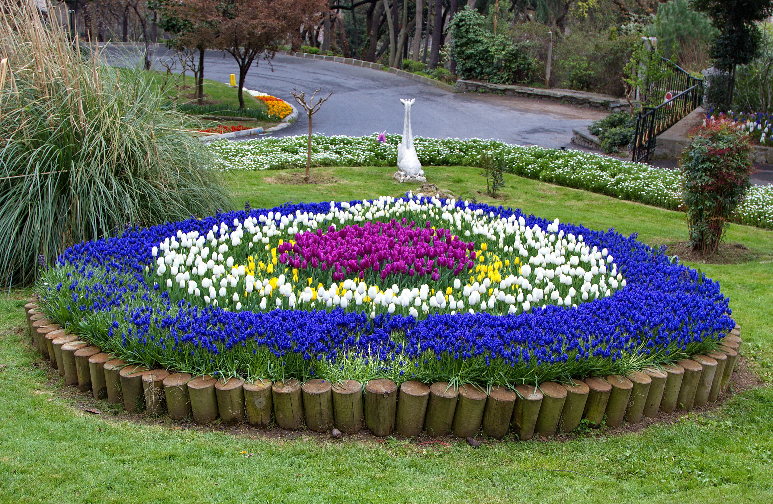 Фотографии цветов и растений