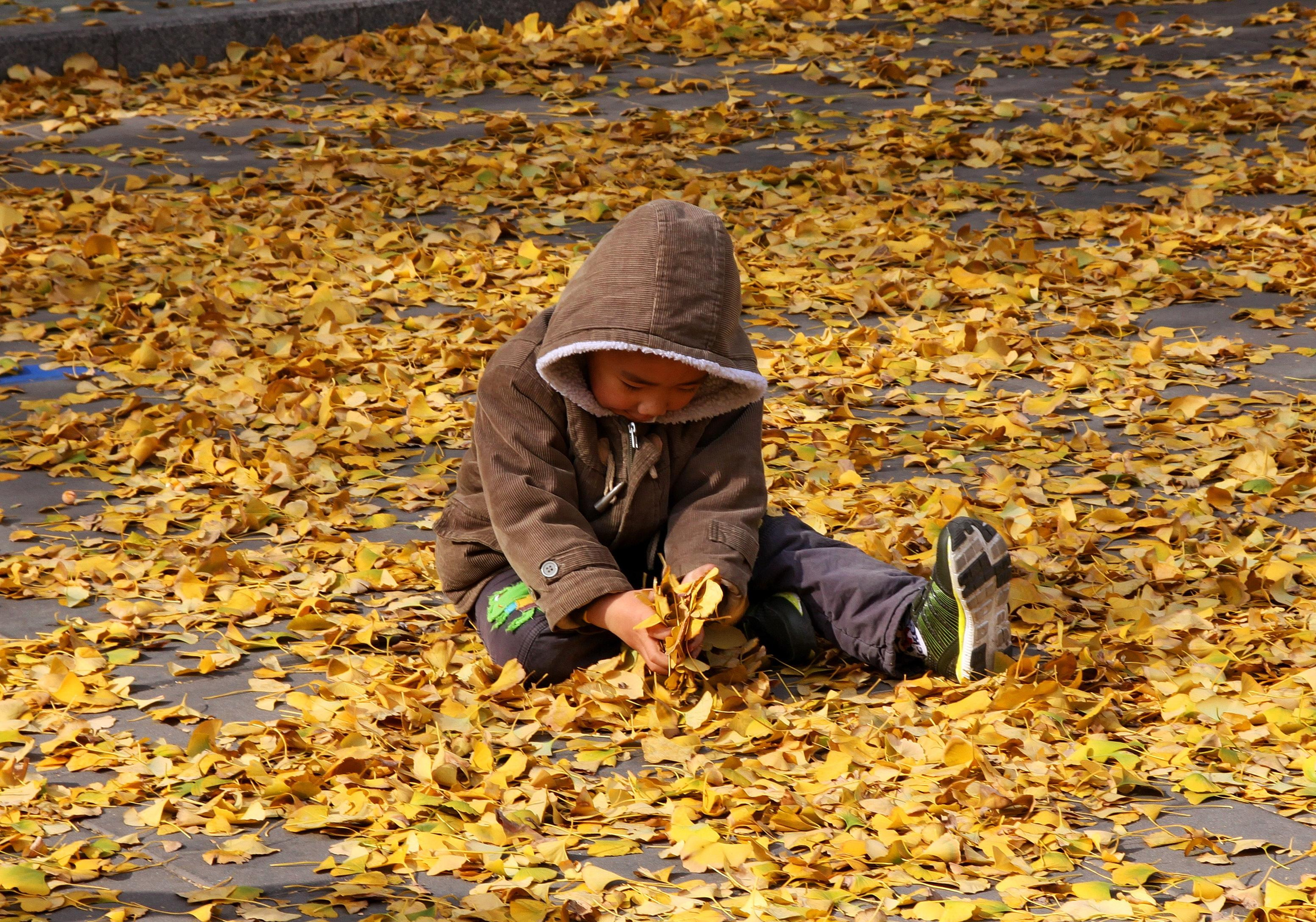 Китай в фотографиях из поездок