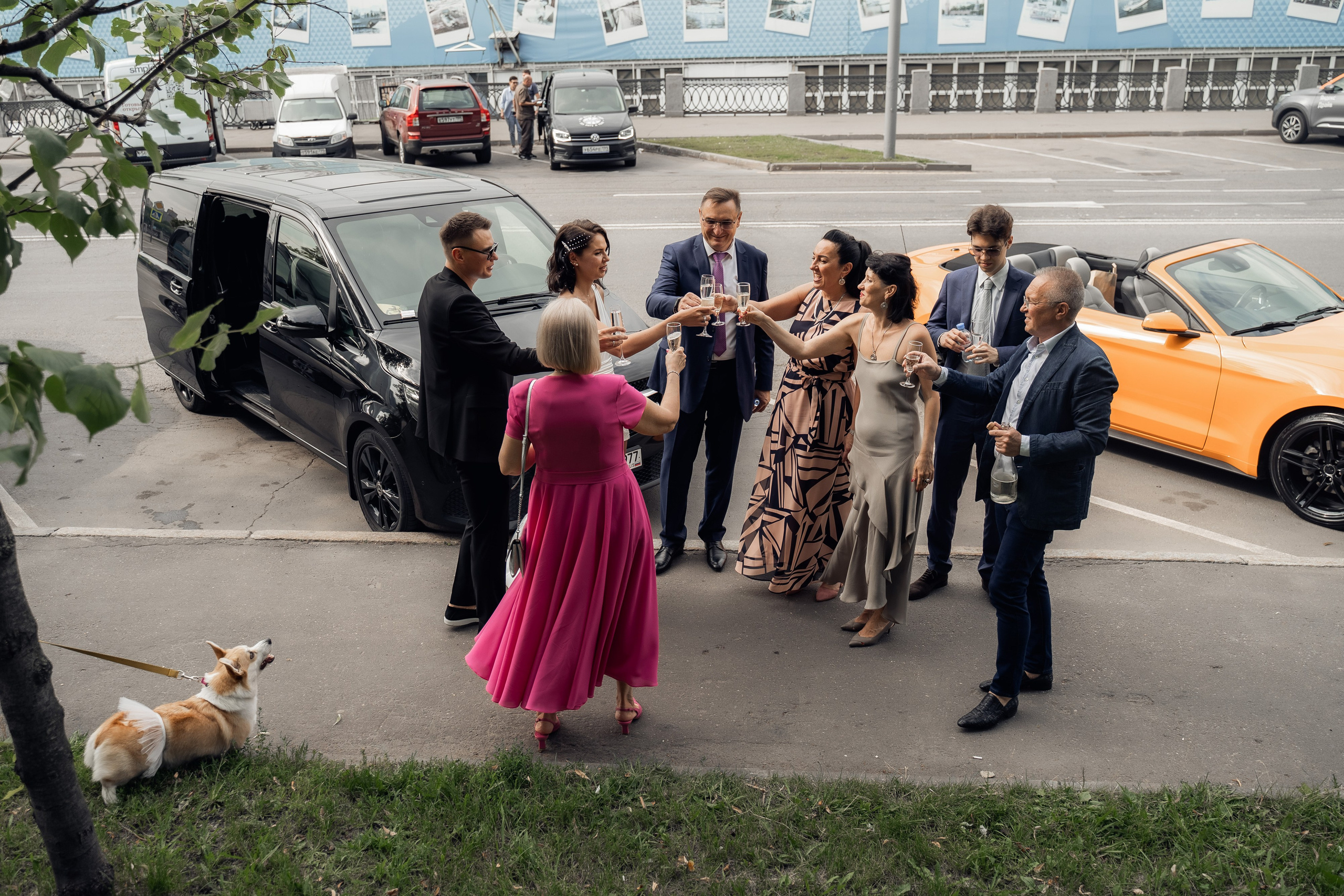 Апельсиновый рай. Свадебный фотограф Москва и МО