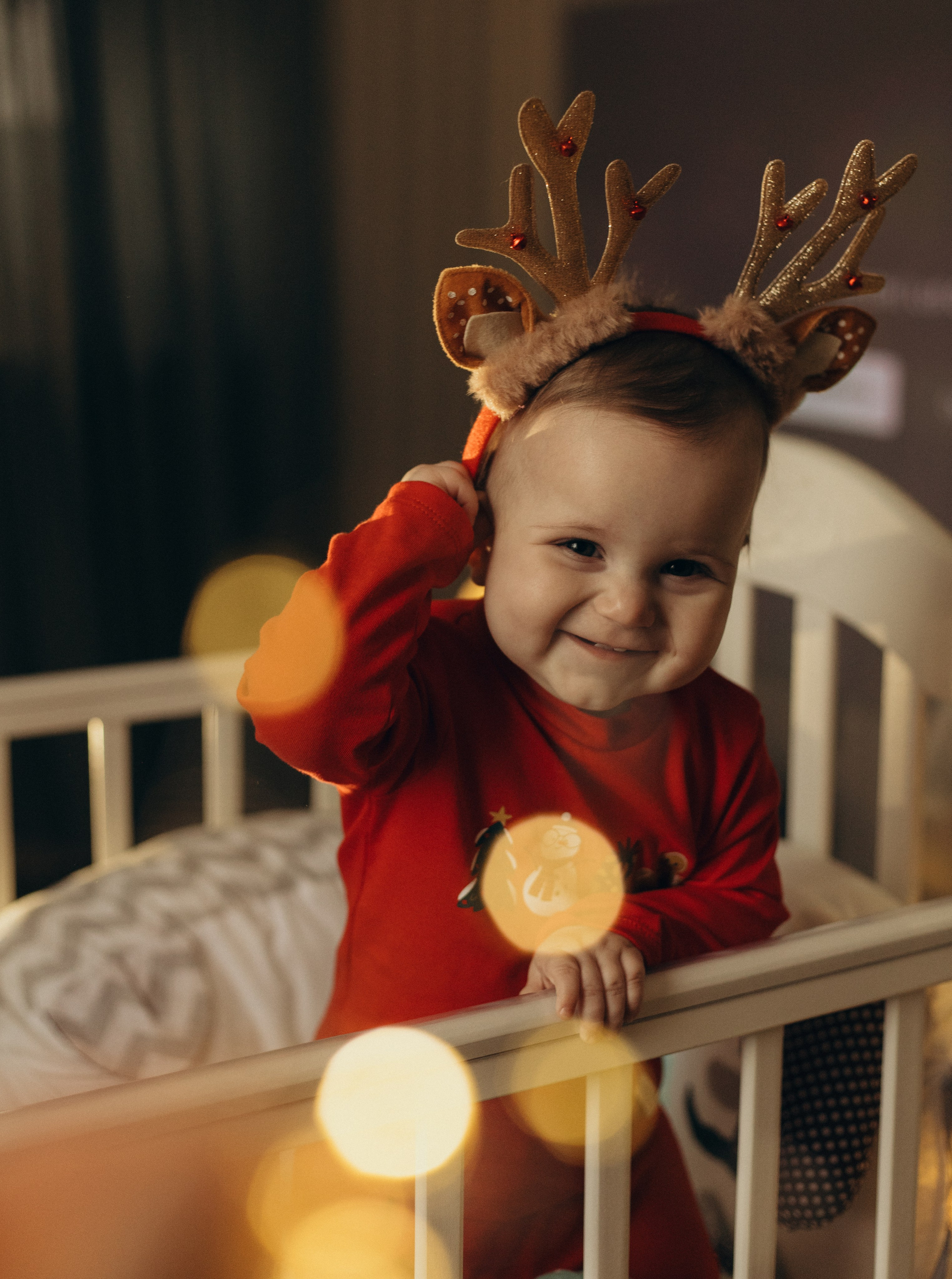 Домашняя история. Meryfotoidea