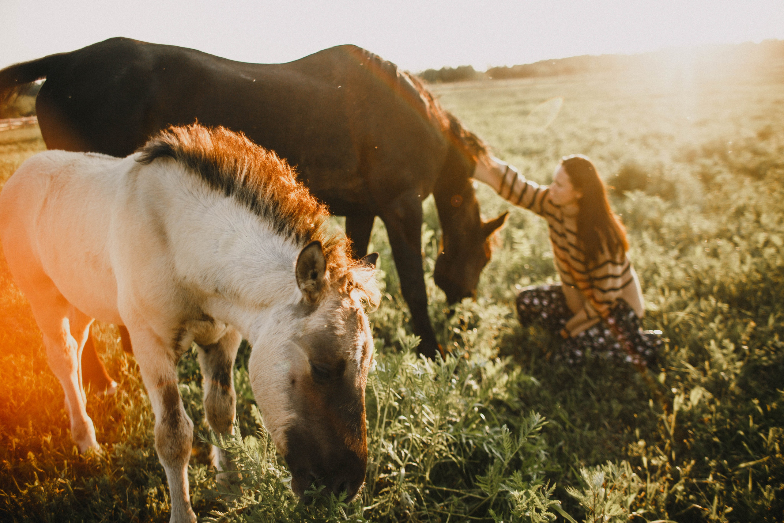 Варвара. Лошади. Закат. Фотограф в Нижнем Новгороде