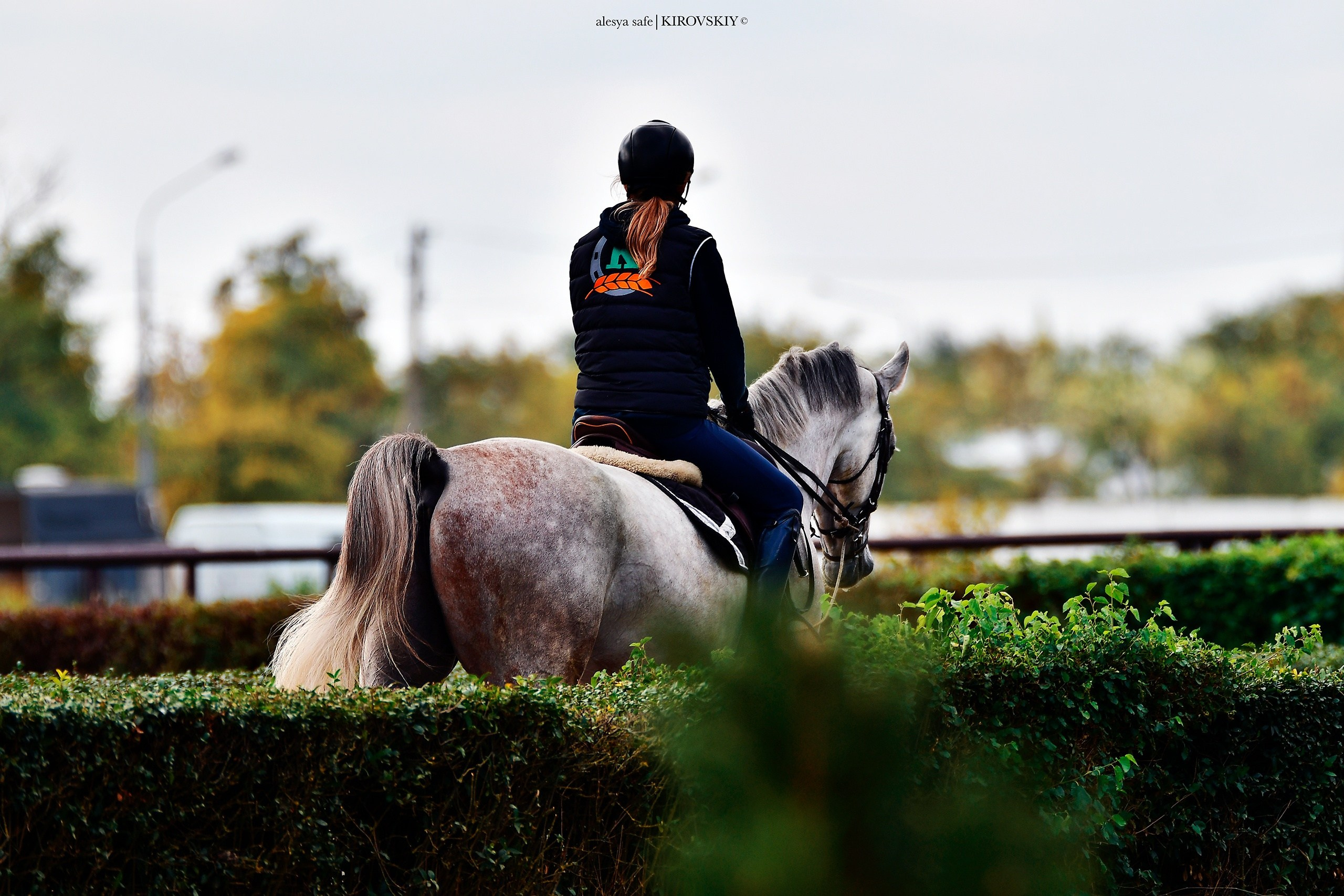 Кировский конный завод. Конный фотограф Alesya Safe