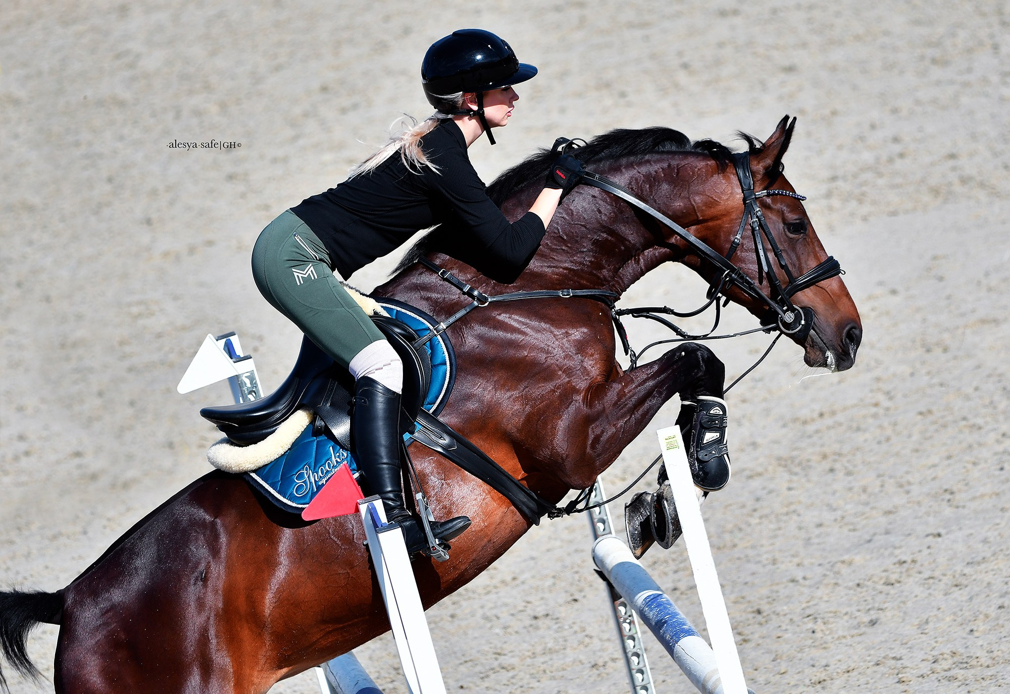 Голден. Конный фотограф Alesya Safe